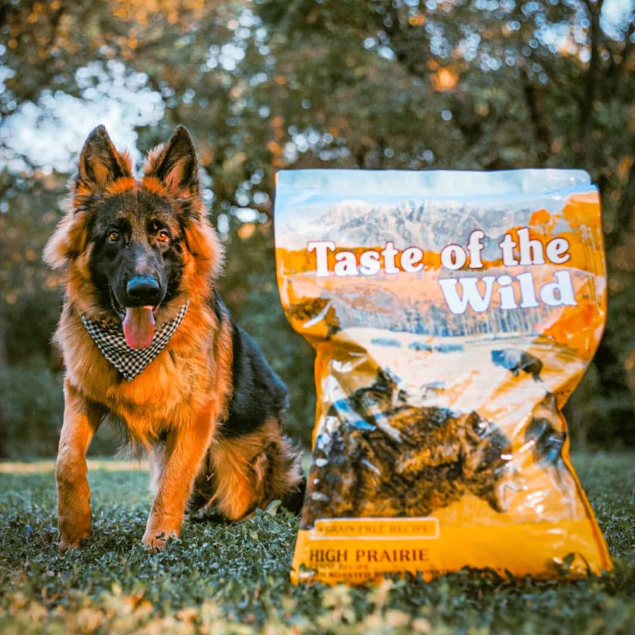 Taste Of The Wild Adult Dry Dog Food High Prairie