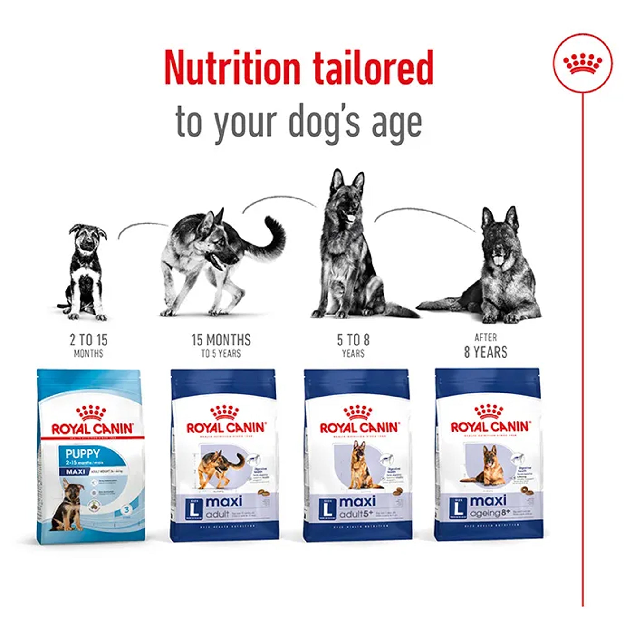 Royal Canin Dog Maxi Adult