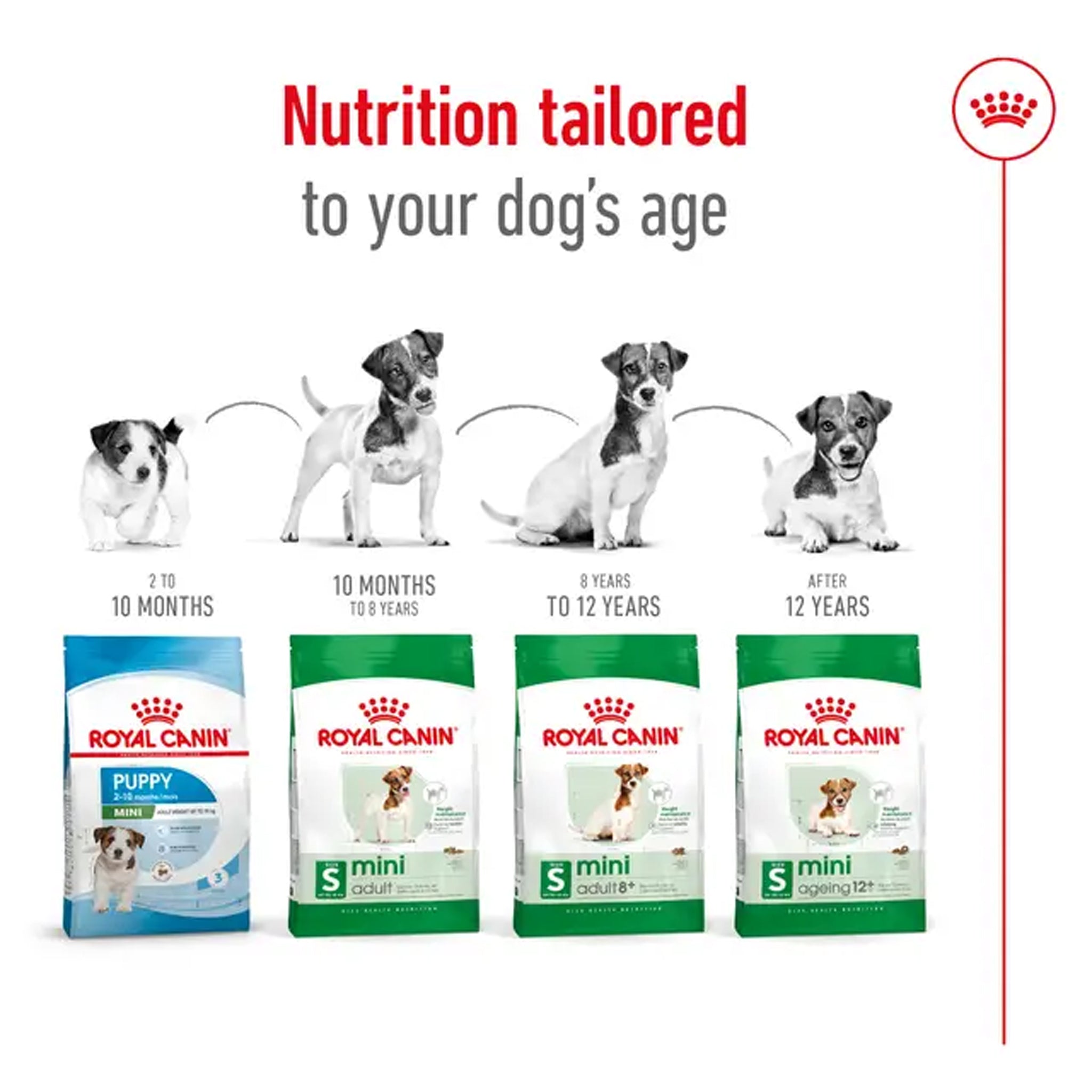 Royal Canin Dog Mini Adult