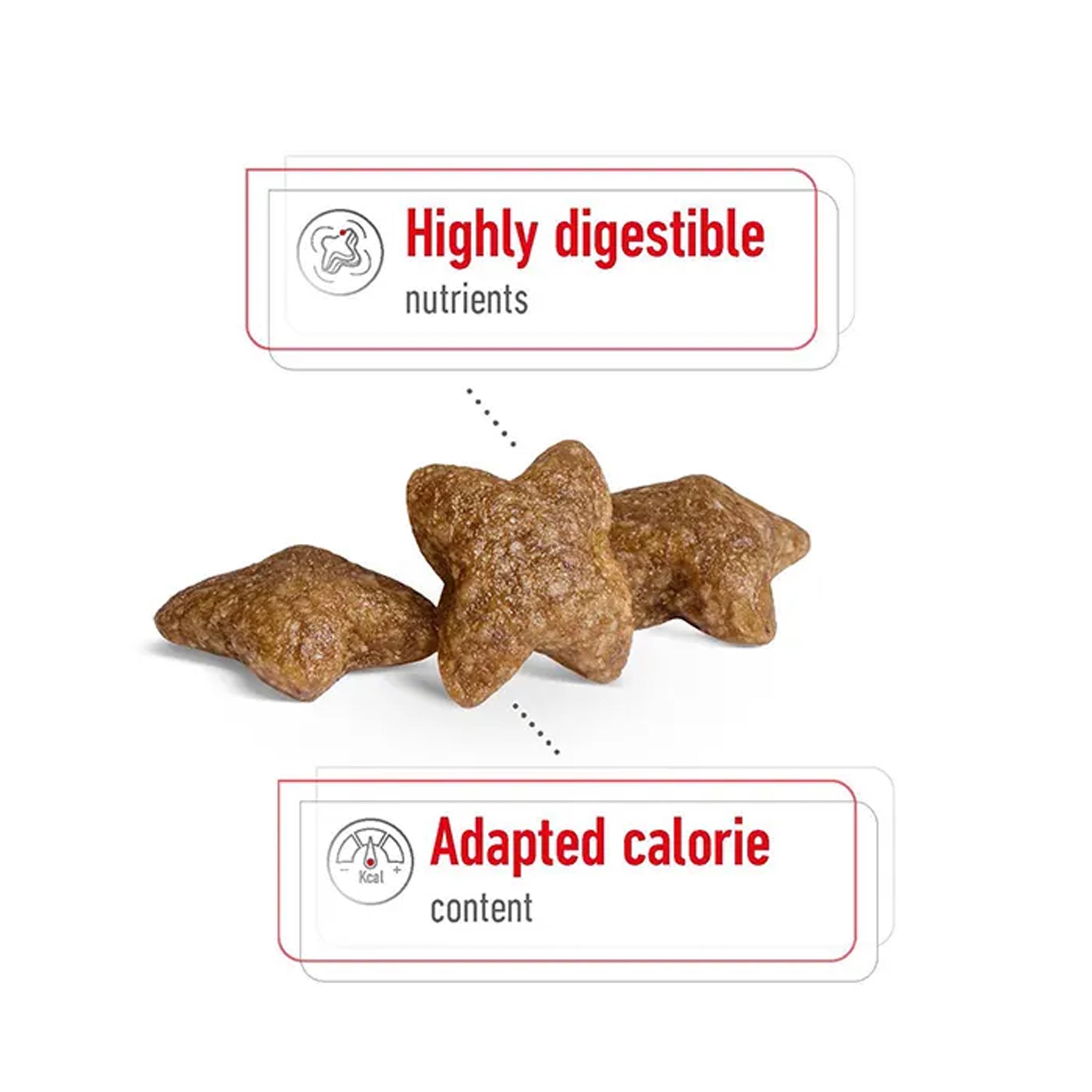Royal Canin Dog Mini Adult