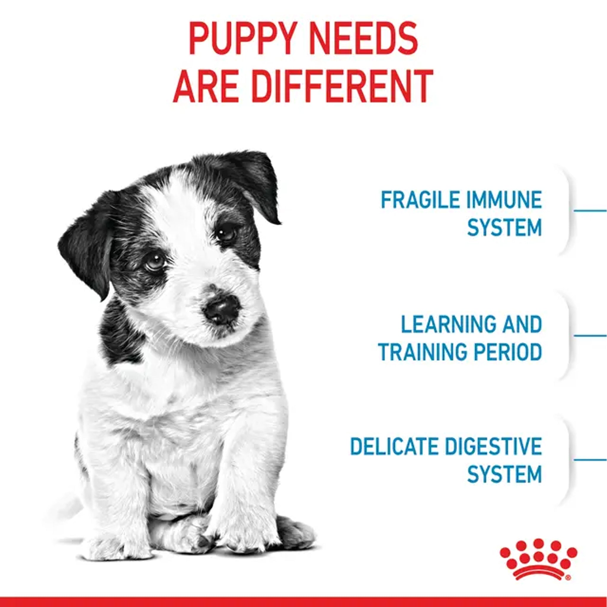 Royal Canin Dog Mini Puppy