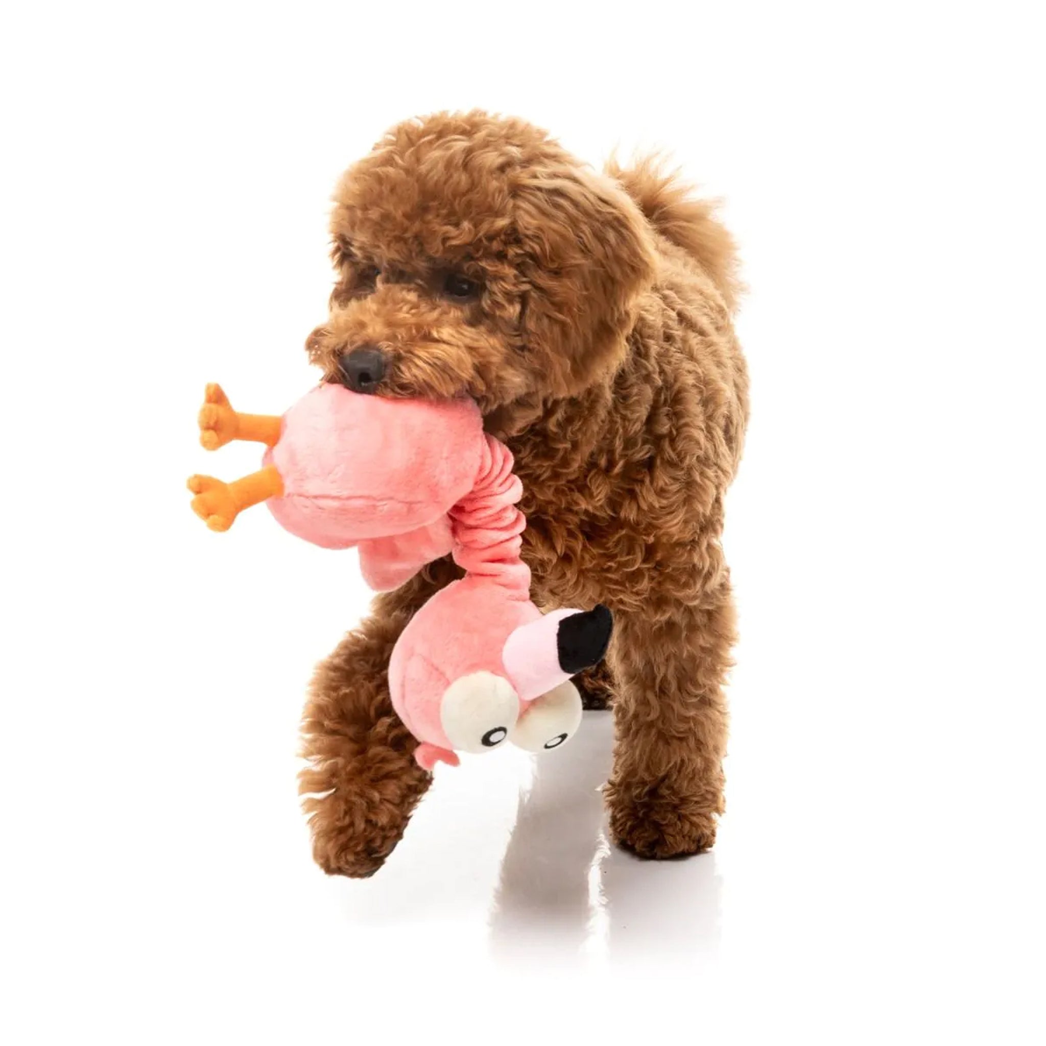 FuzzYard Neck Minnit Toys