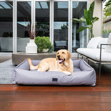Orthopedic Ripstop Dog Lounger Zip
