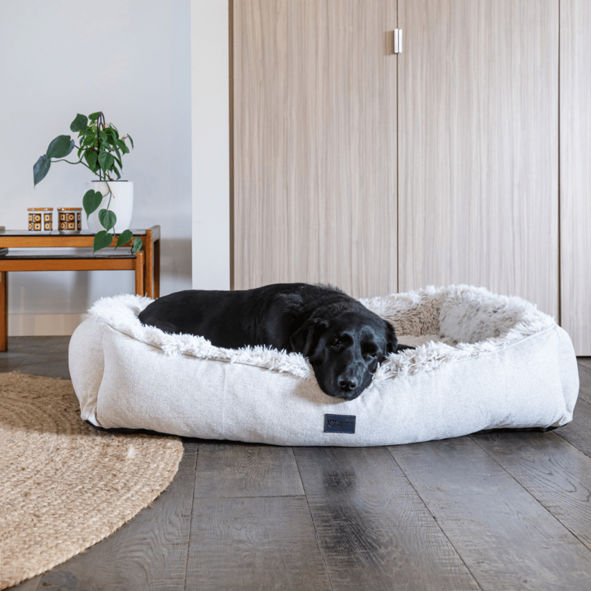 SUPERIOR Plush Dog Lounger Zip Aspen