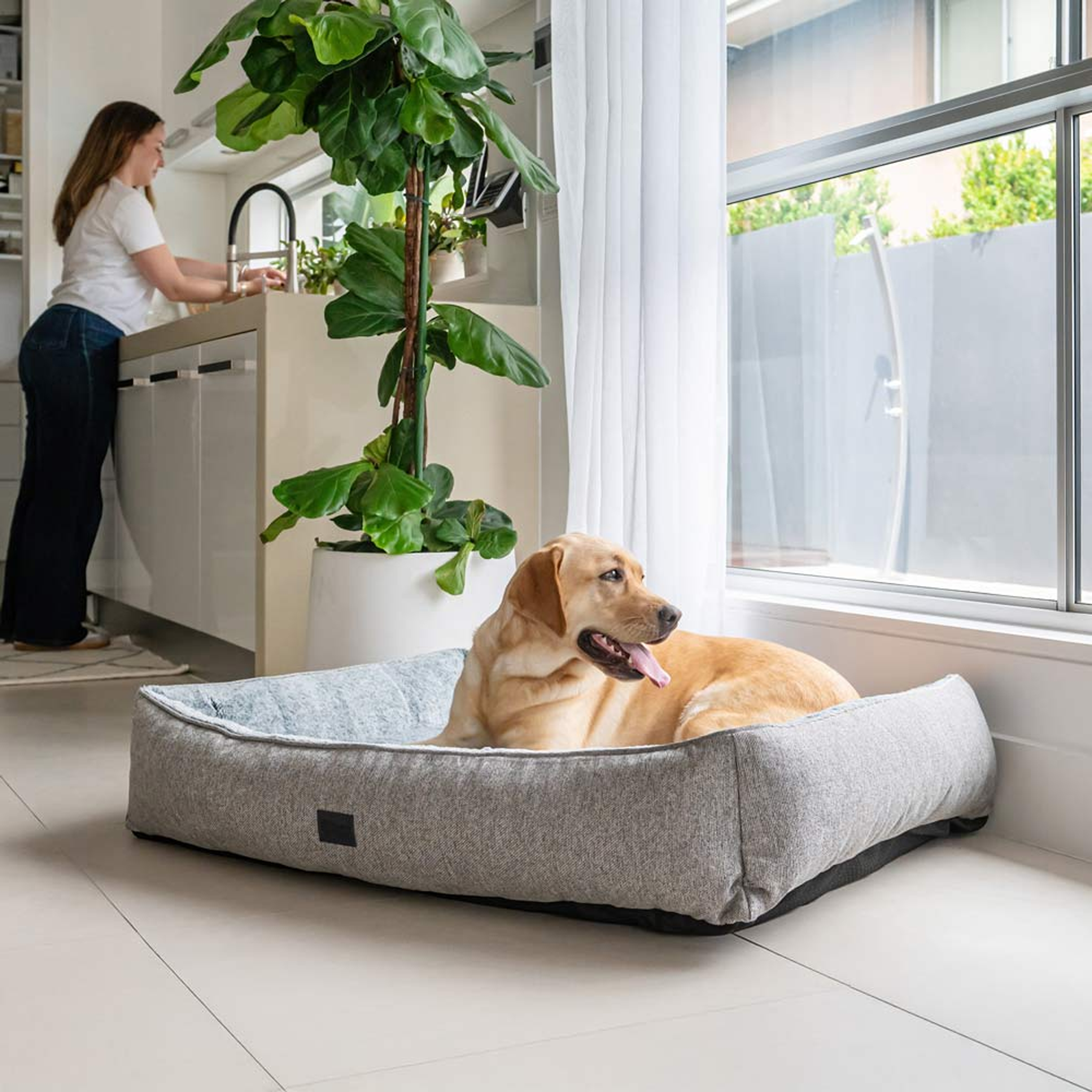 SUPERIOR Orthopedic Plush Dog Lounger Zip