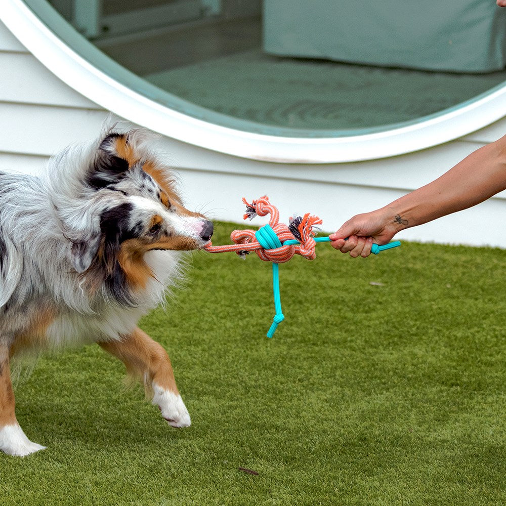 Stretch & Fetch TPR & Braided Rope Ball Dog Toy – 30cm
