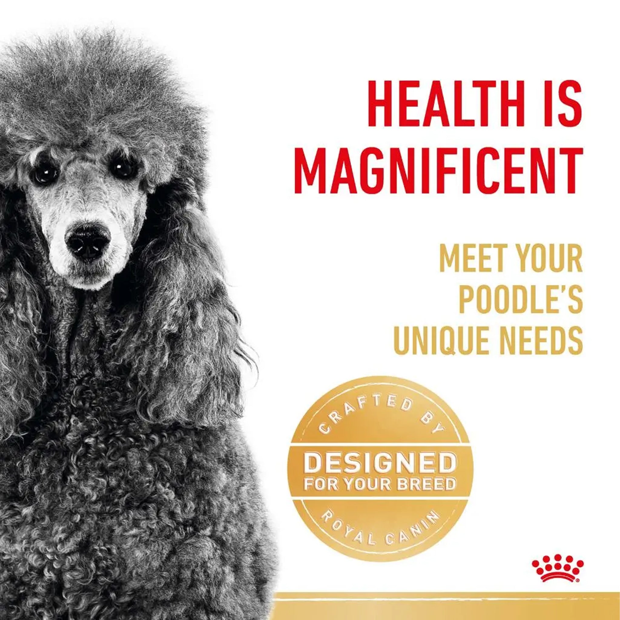 Royal Canin Dog Poodle