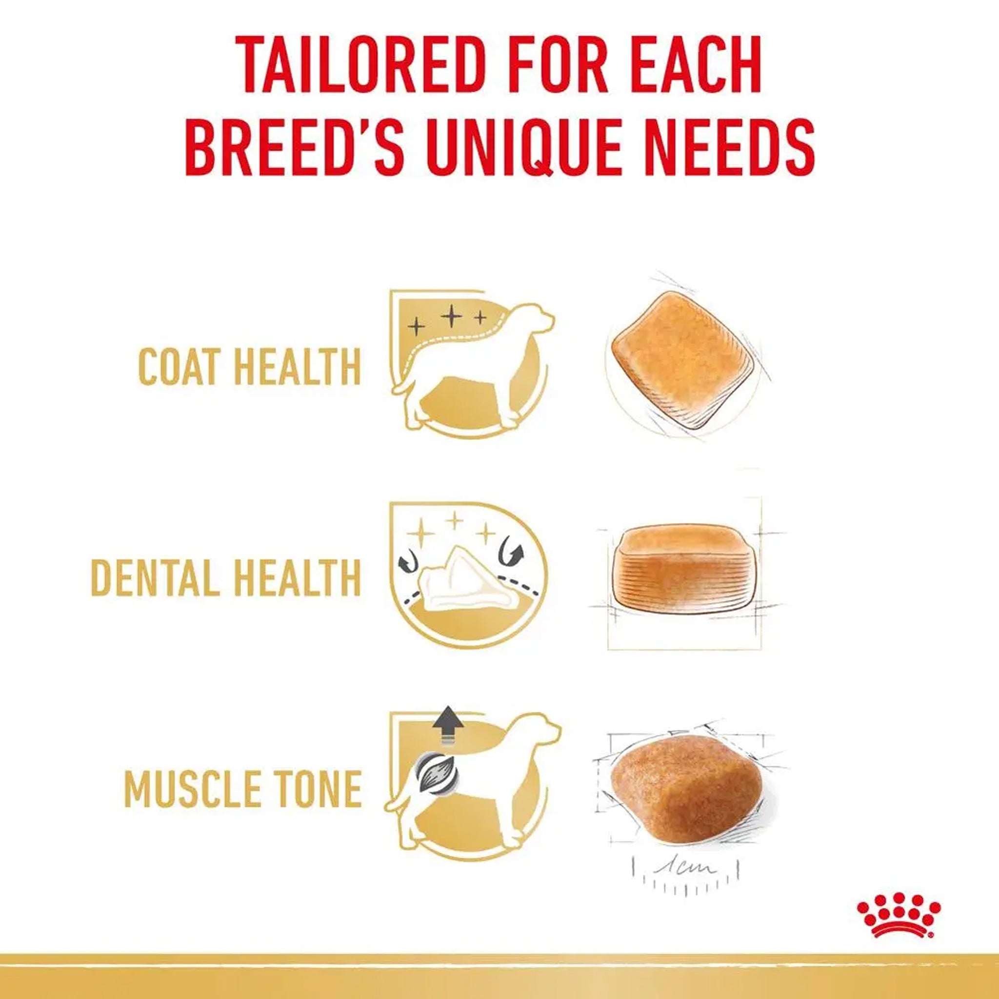 Royal Canin Dog Poodle