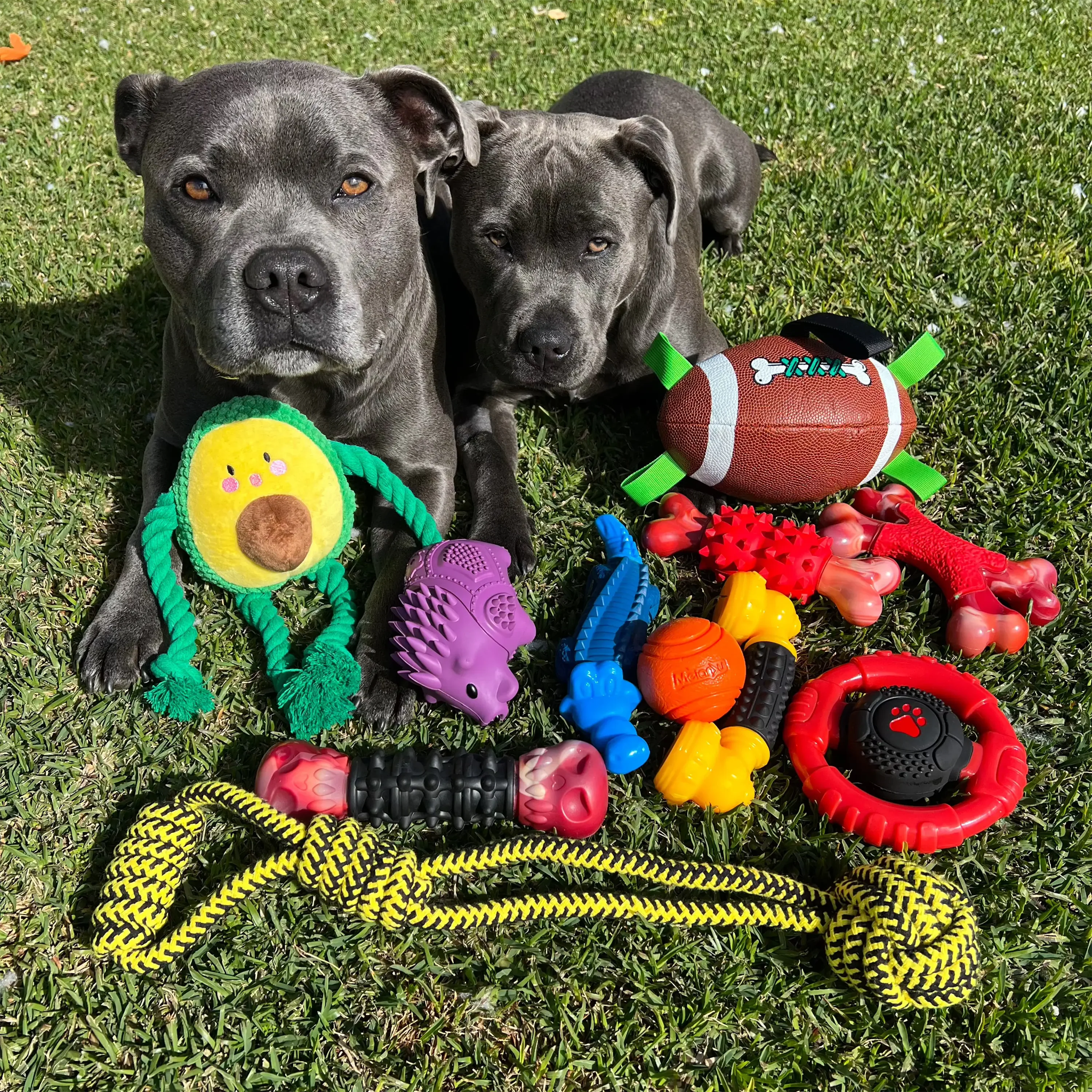 Happy Staffy Power Chew Wheel