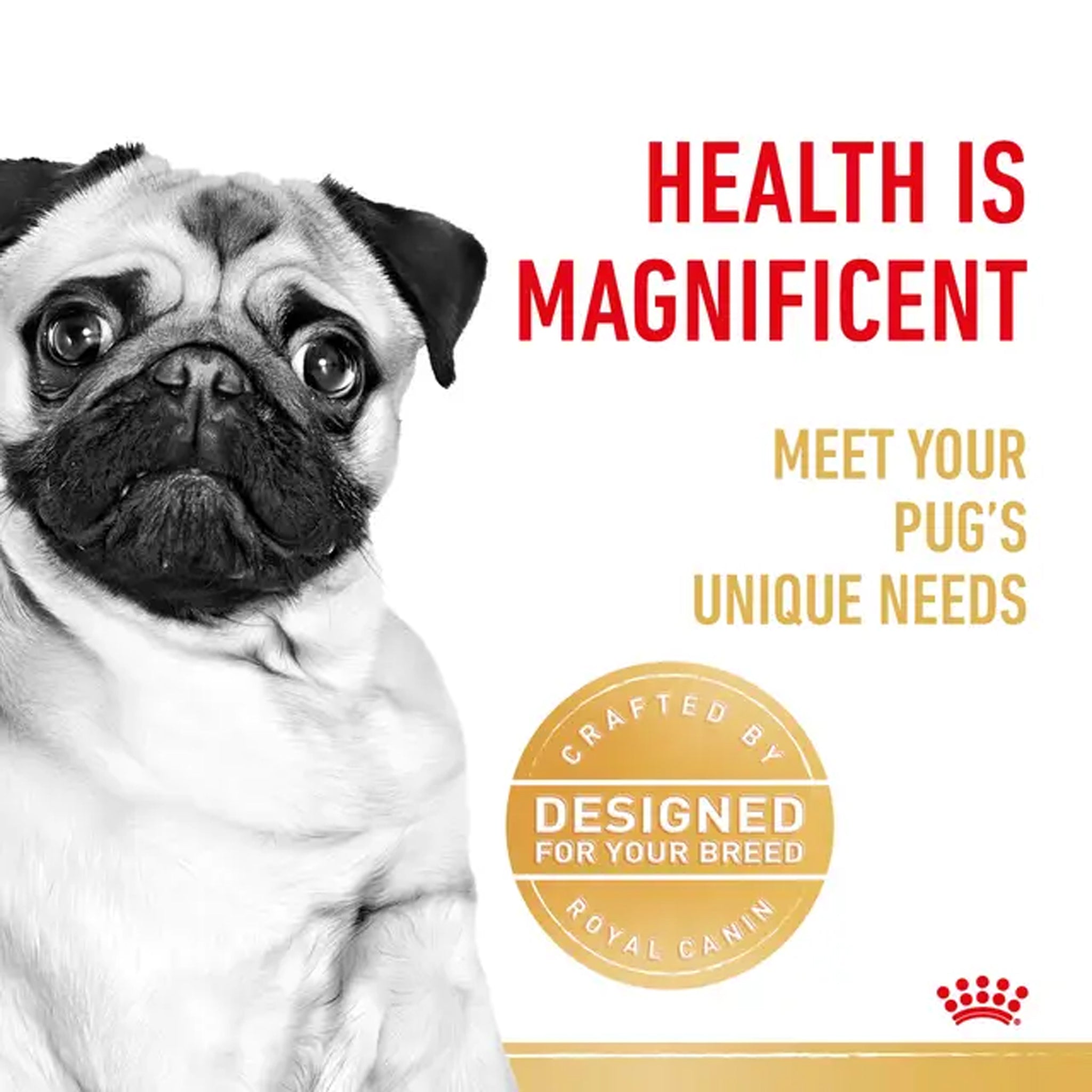 Royal Canin Dog Pug