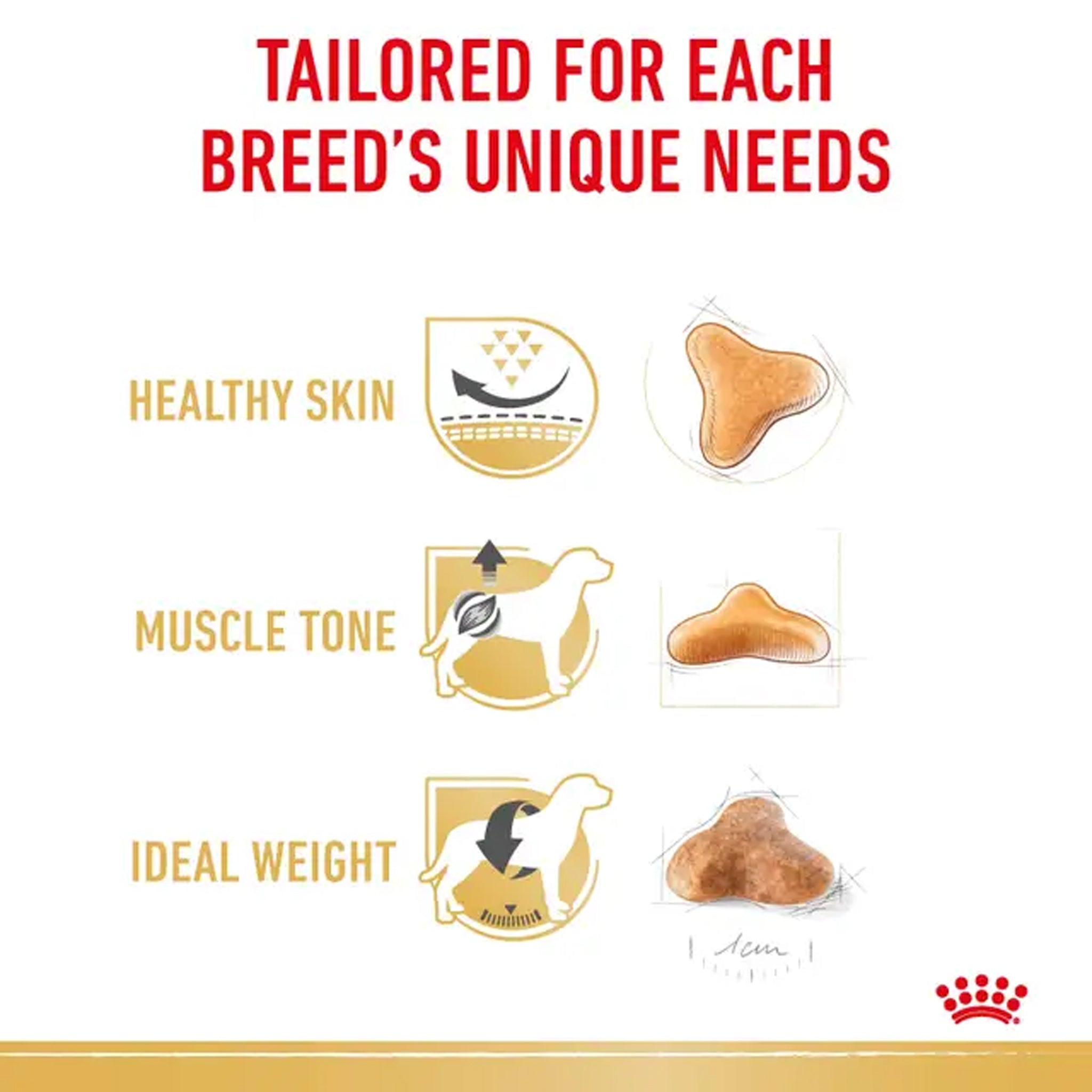 Royal Canin Dog Pug