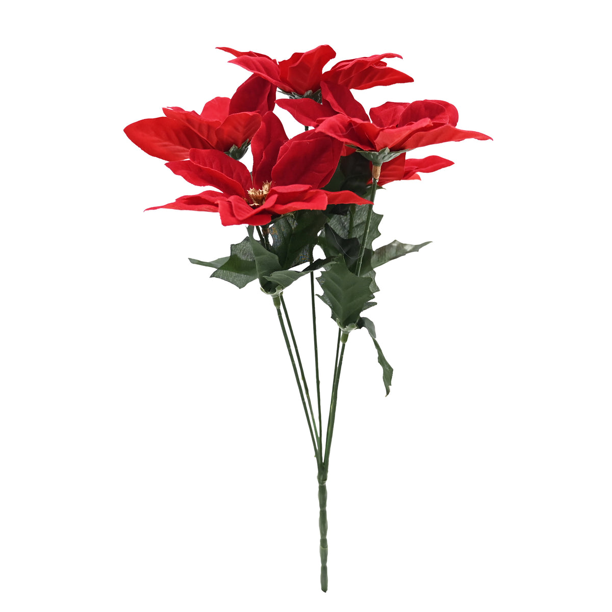 Red Poinsettia Bunch