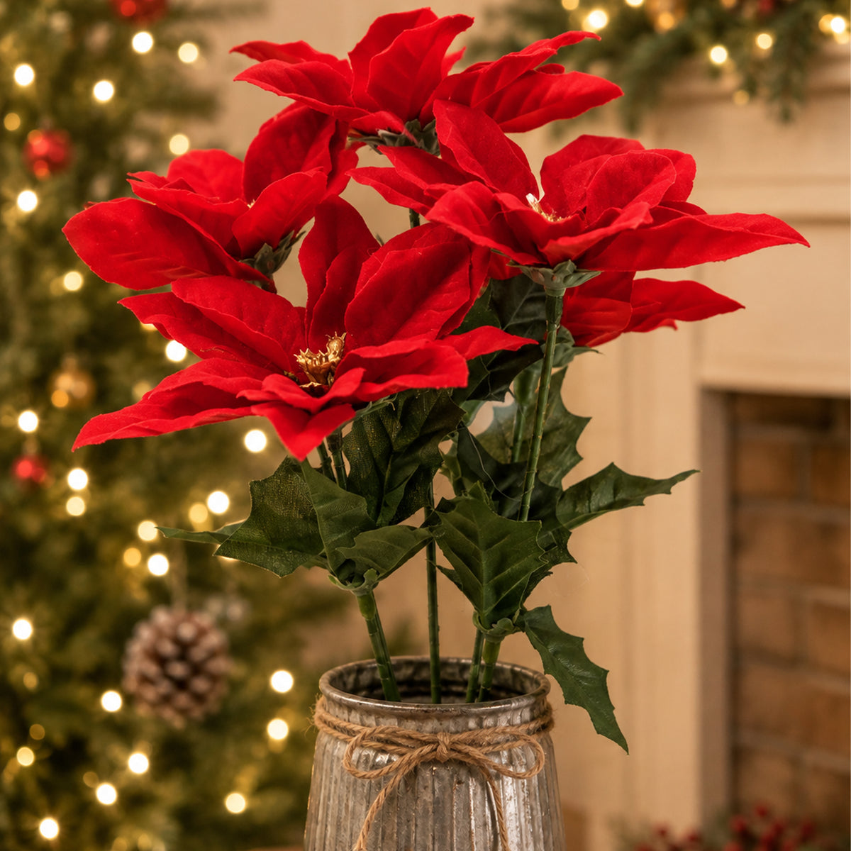 Red Poinsettia Bunch