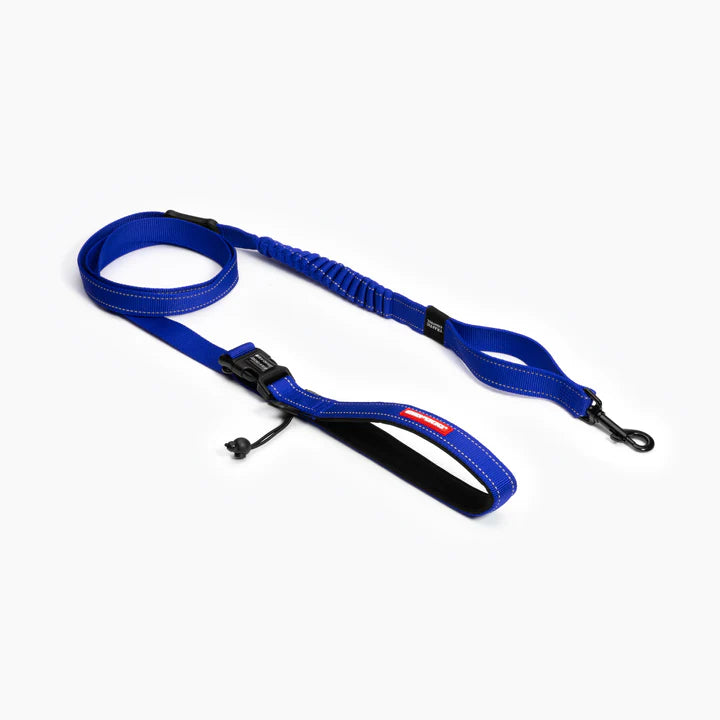 EzyDog Leash Road Runner