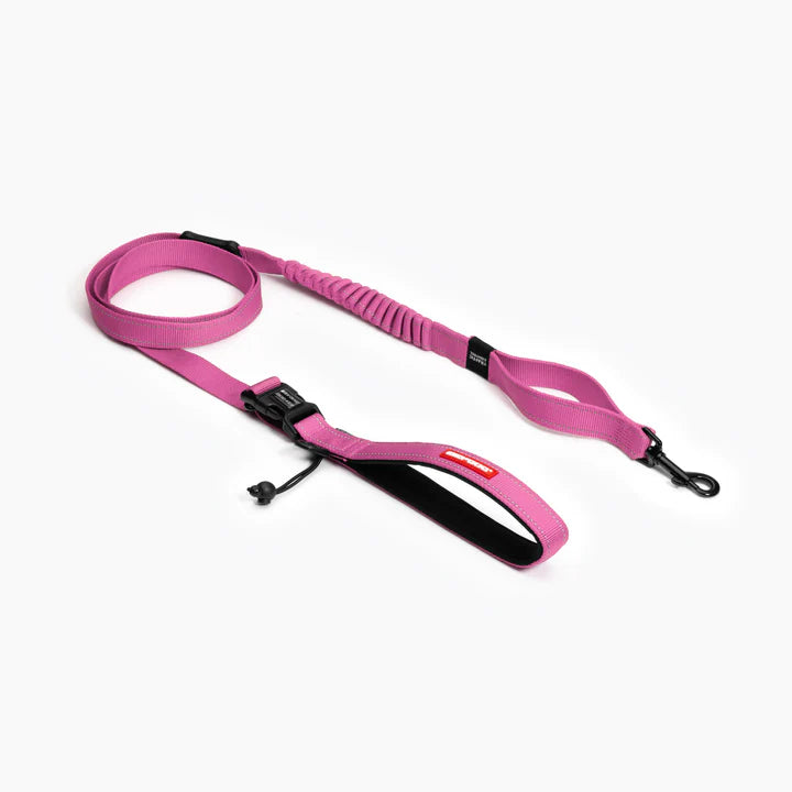 EzyDog Leash Road Runner