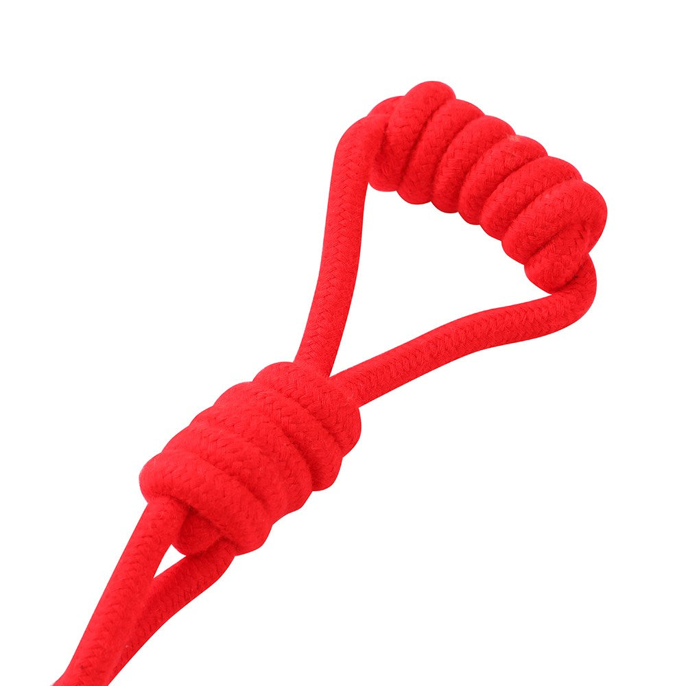 Rope Chew Toy – Medium (30cm, Assorted)