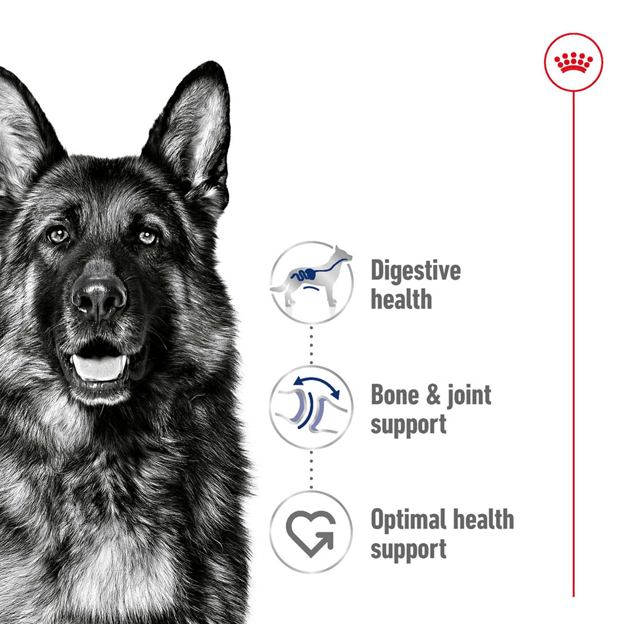 Royal Canin Adult Can