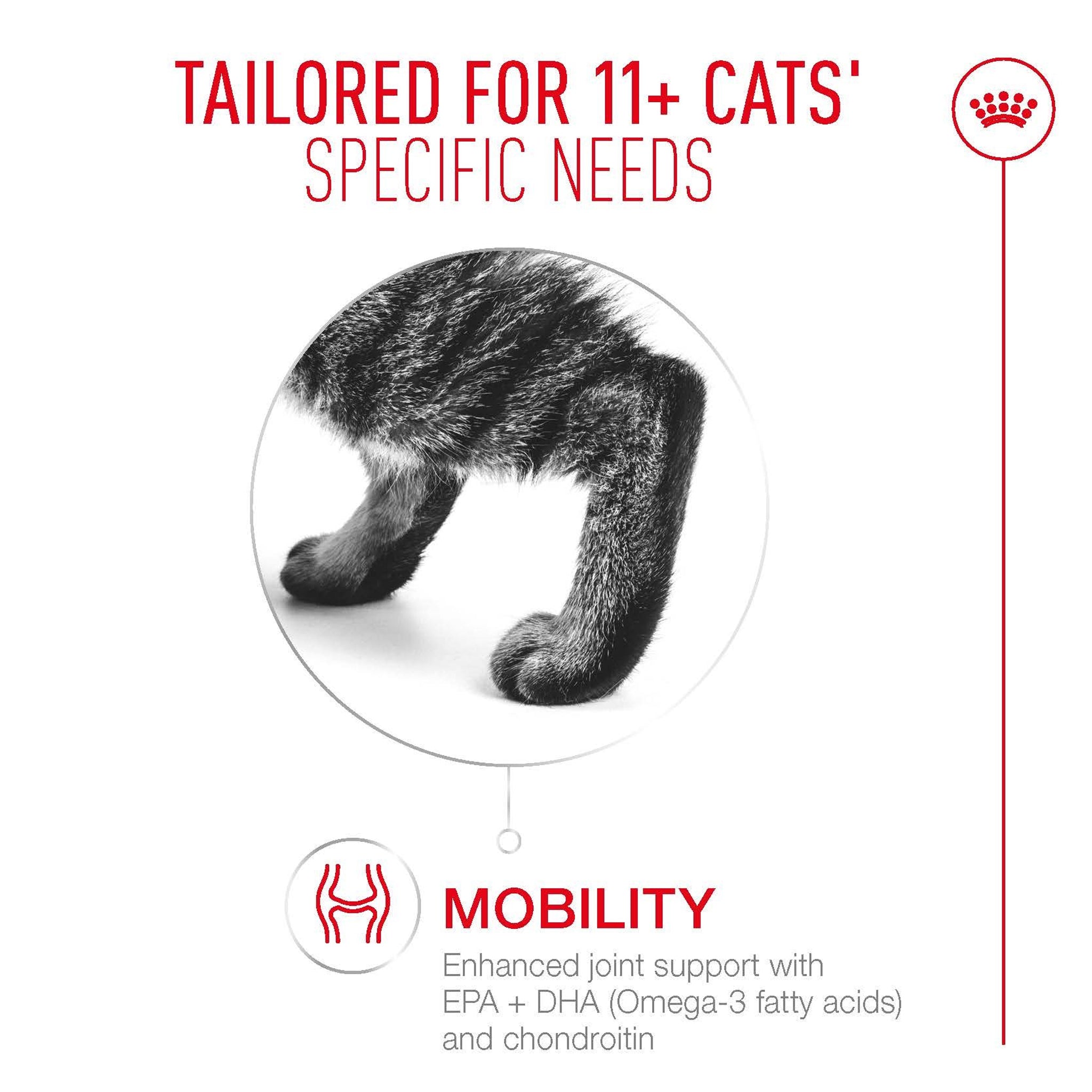 Royal Canin Ageing 11+ Jelly Adult Wet Cat Food Pouches