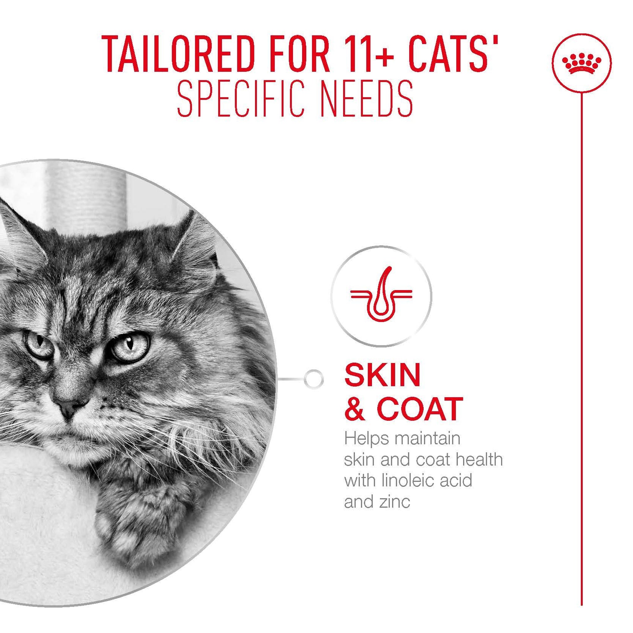 Royal Canin Ageing 11+ Gravy Adult Wet Cat Food Pouches