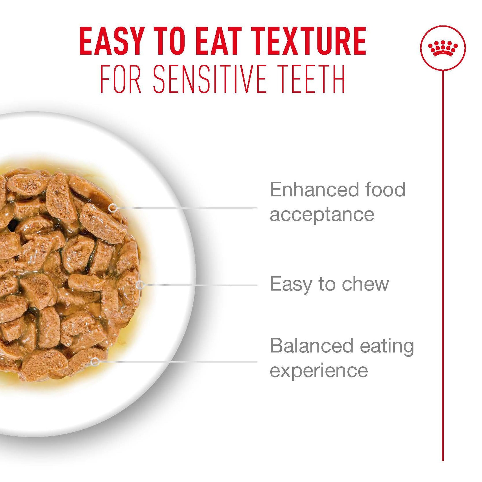 Royal Canin Ageing 11+ Gravy Adult Wet Cat Food Pouches