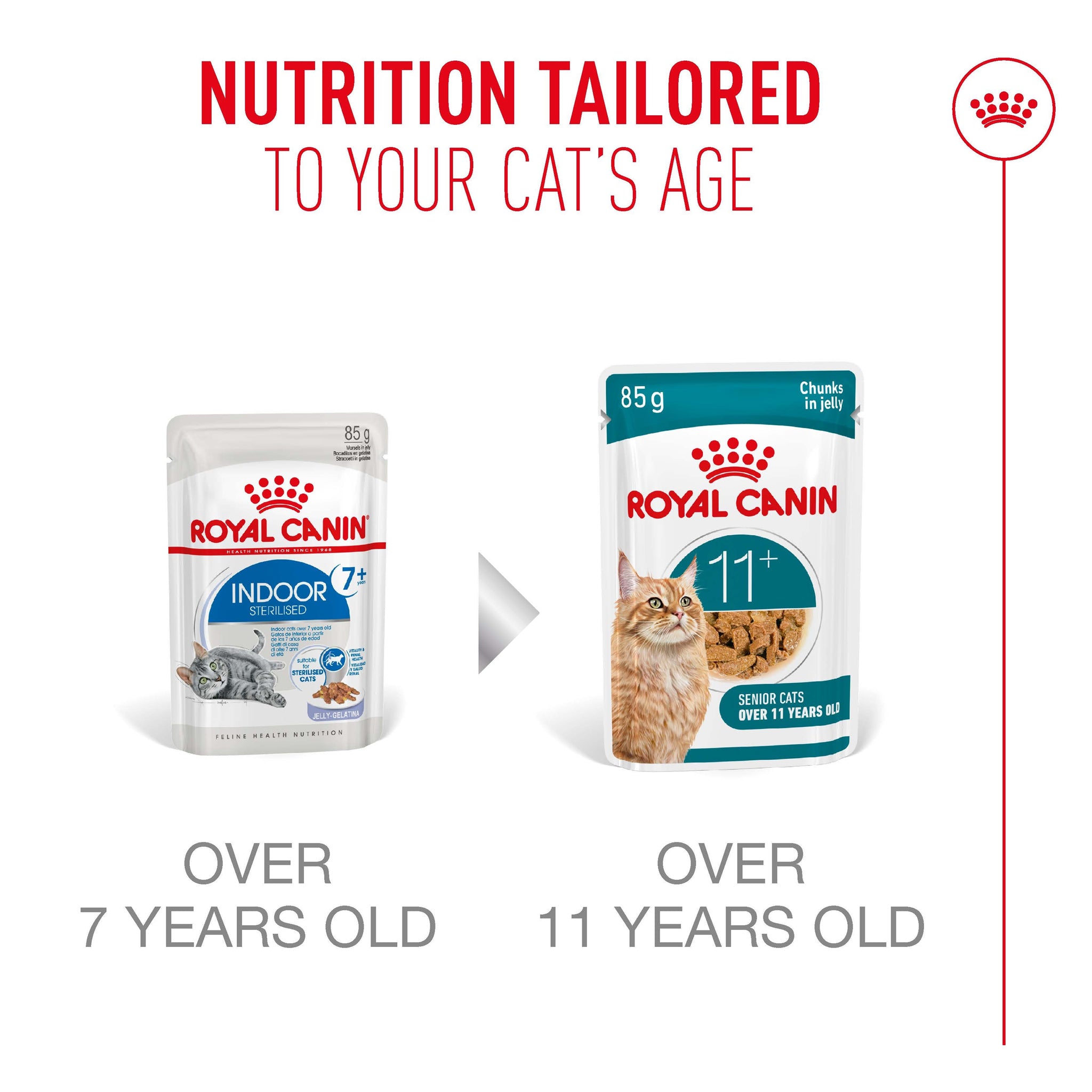 Royal Canin Ageing 11+ Gravy Adult Wet Cat Food Pouches