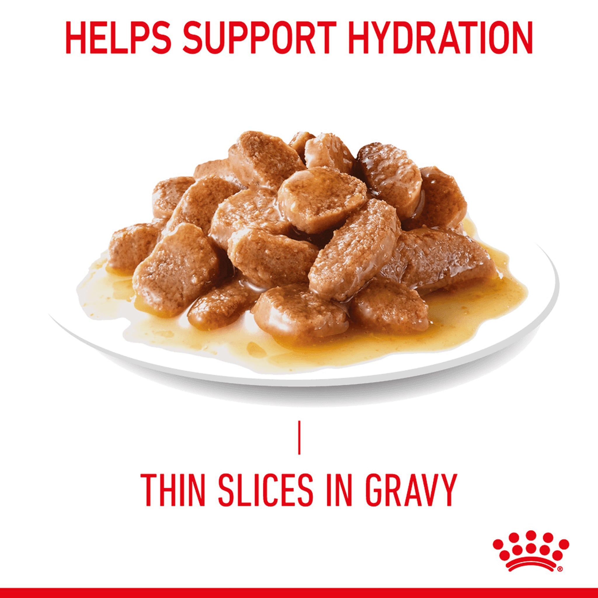 Royal Canin Appetite Control Gravy 12x85g
