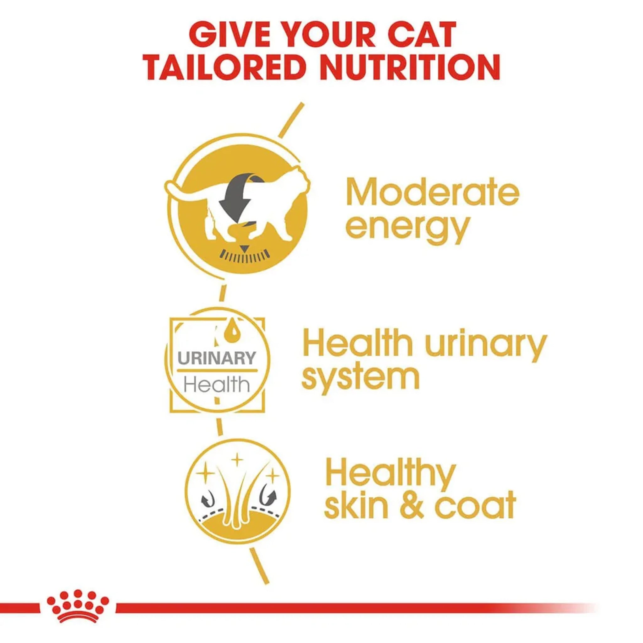 Royal Canin British Shorthair Wet Food 12x85g