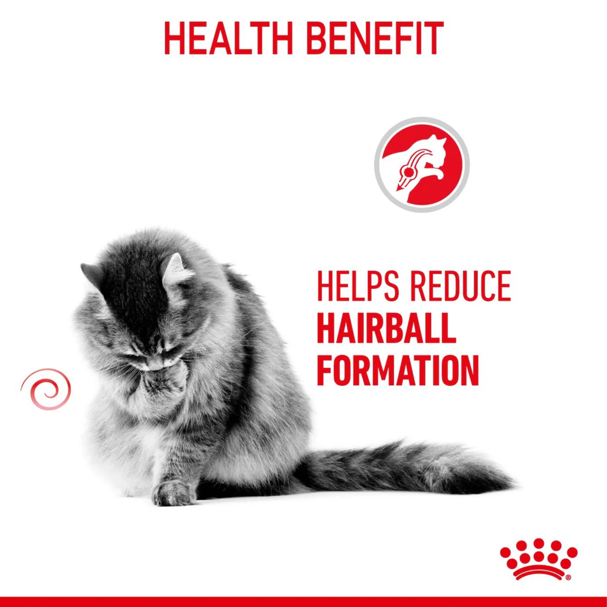 Royal Canin Cat Hairball Care