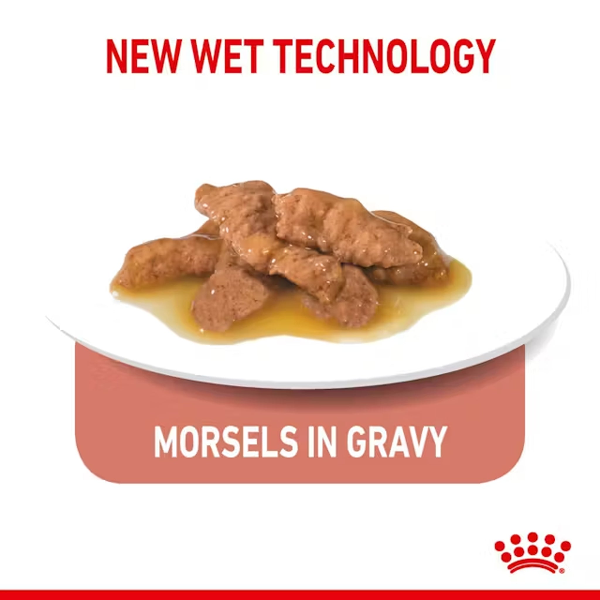 Royal Canin Cat Indoor Gravy 85gx12