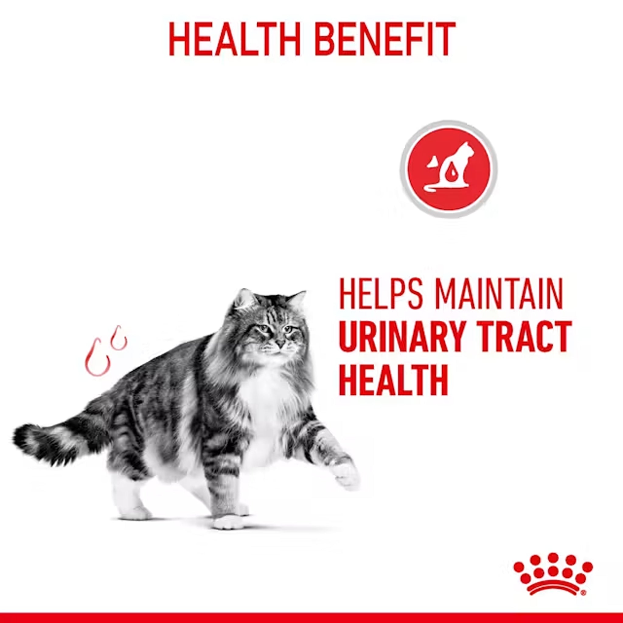 Royal Canin Cat Urinary Care Jelly Pouches 85gx12