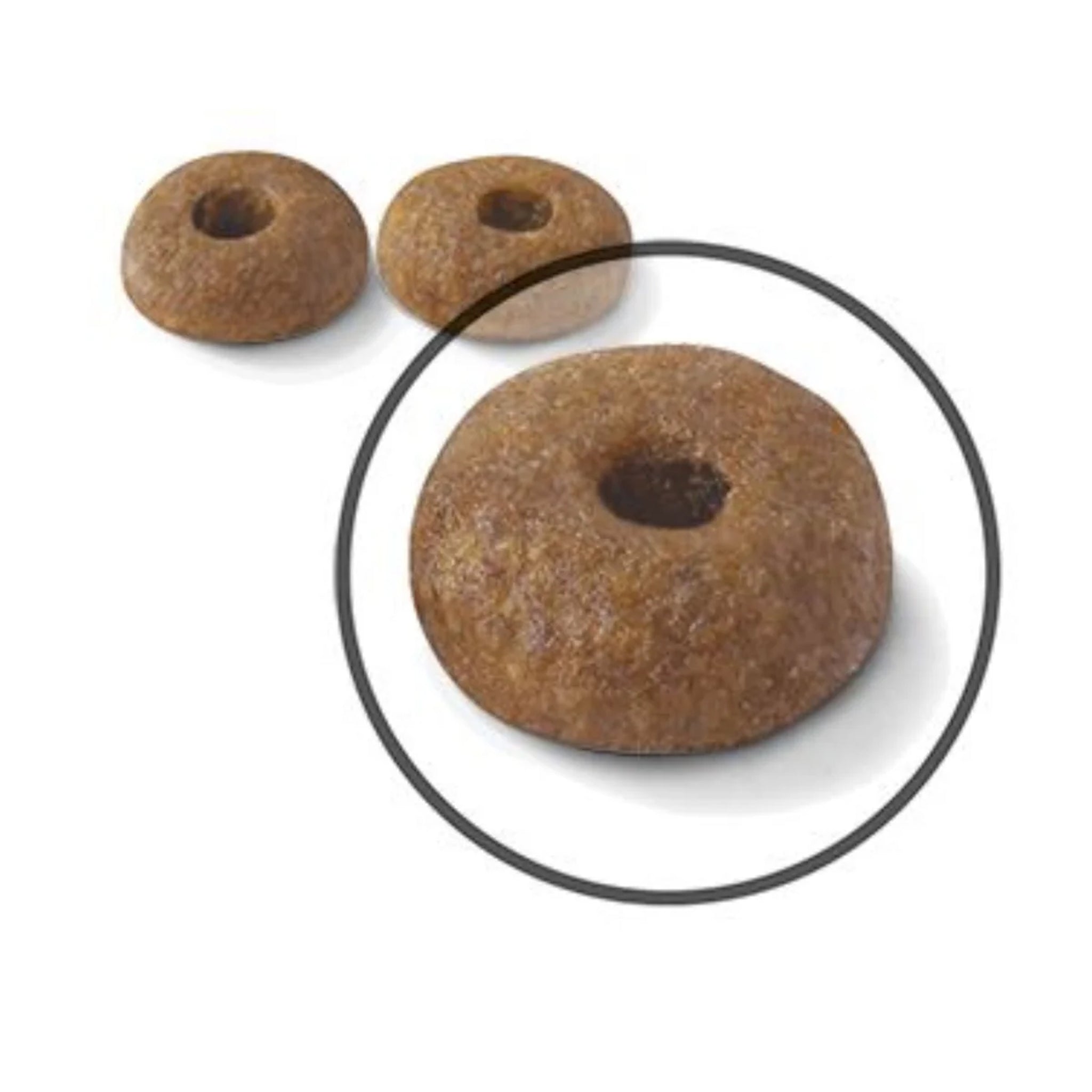 Royal Canin Cat Digestive Care