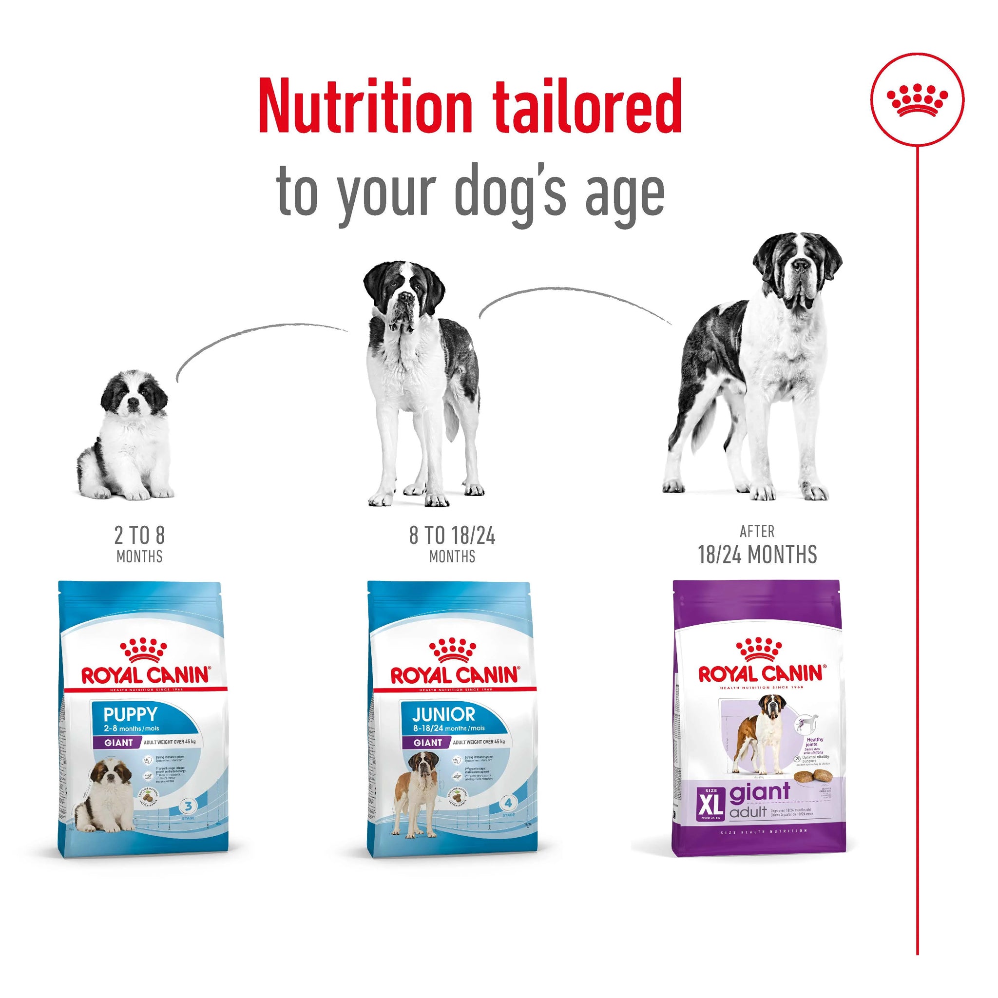 Royal Canin Dog Giant Adult