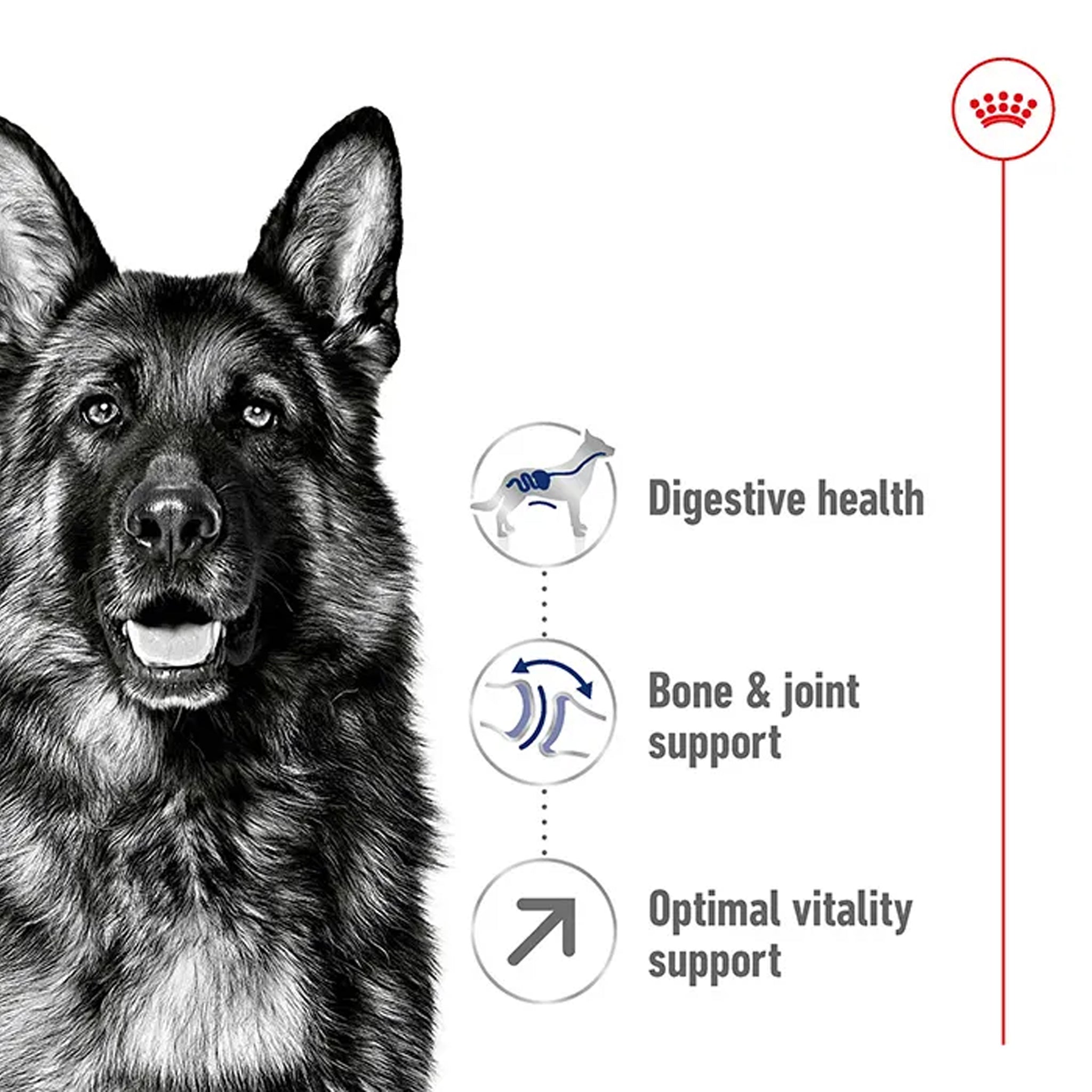 Royal Canin Dog Maxi Adult 5+ 15kg