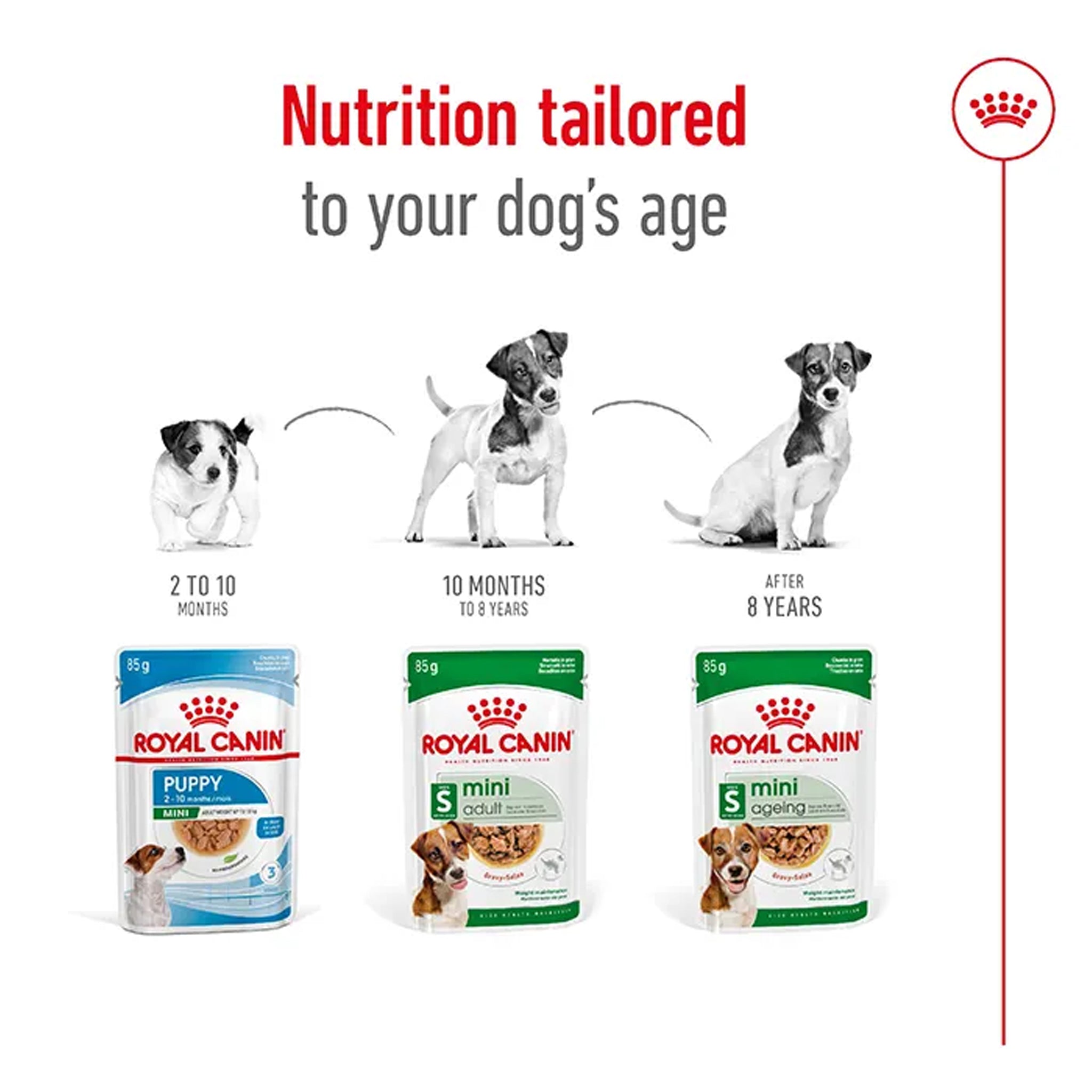 Royal Canin Dog Mini Adult Pouches 85gx12