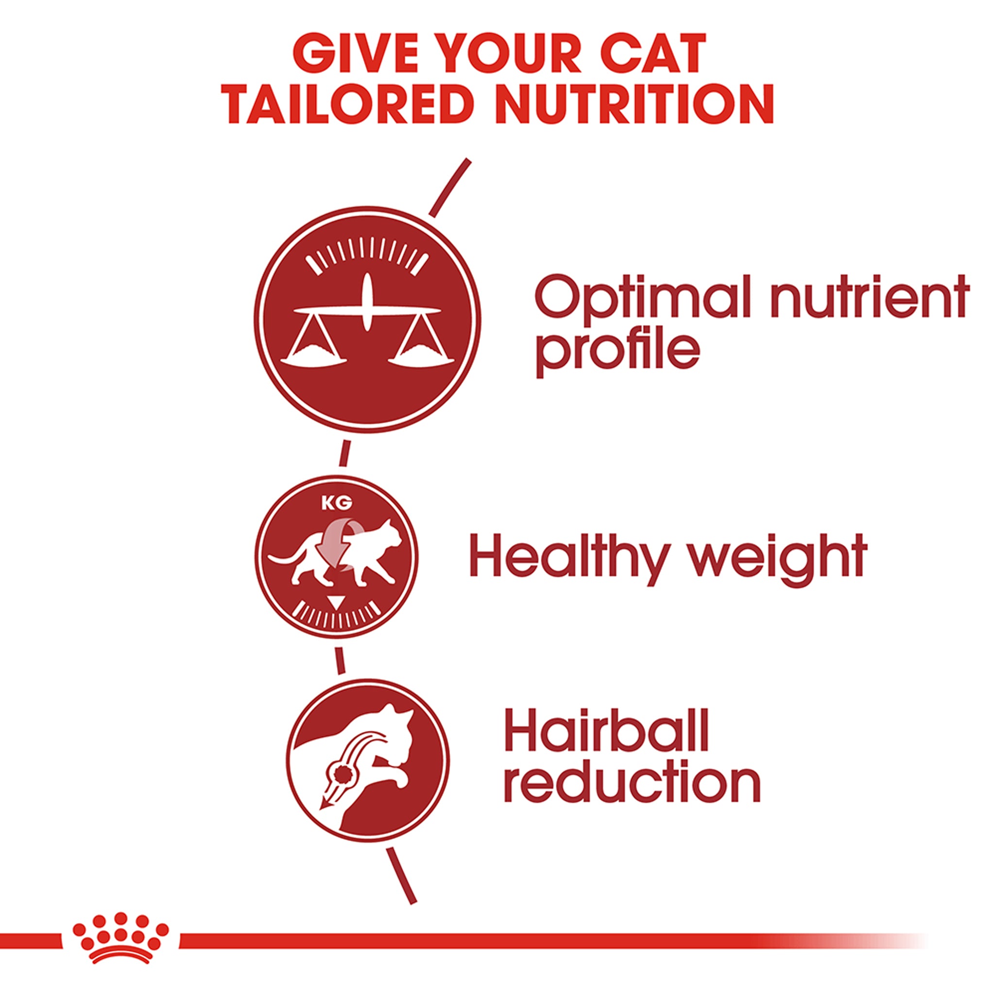 Royal Canin Fit Adult Dry Cat Food
