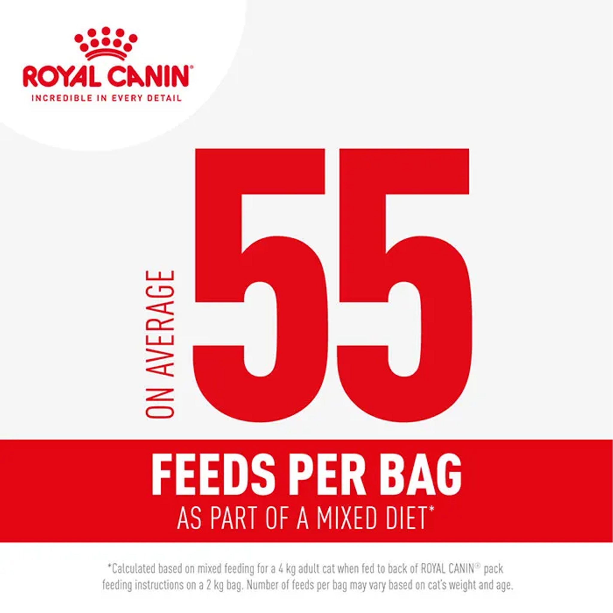 Royal Canin Cat Fit