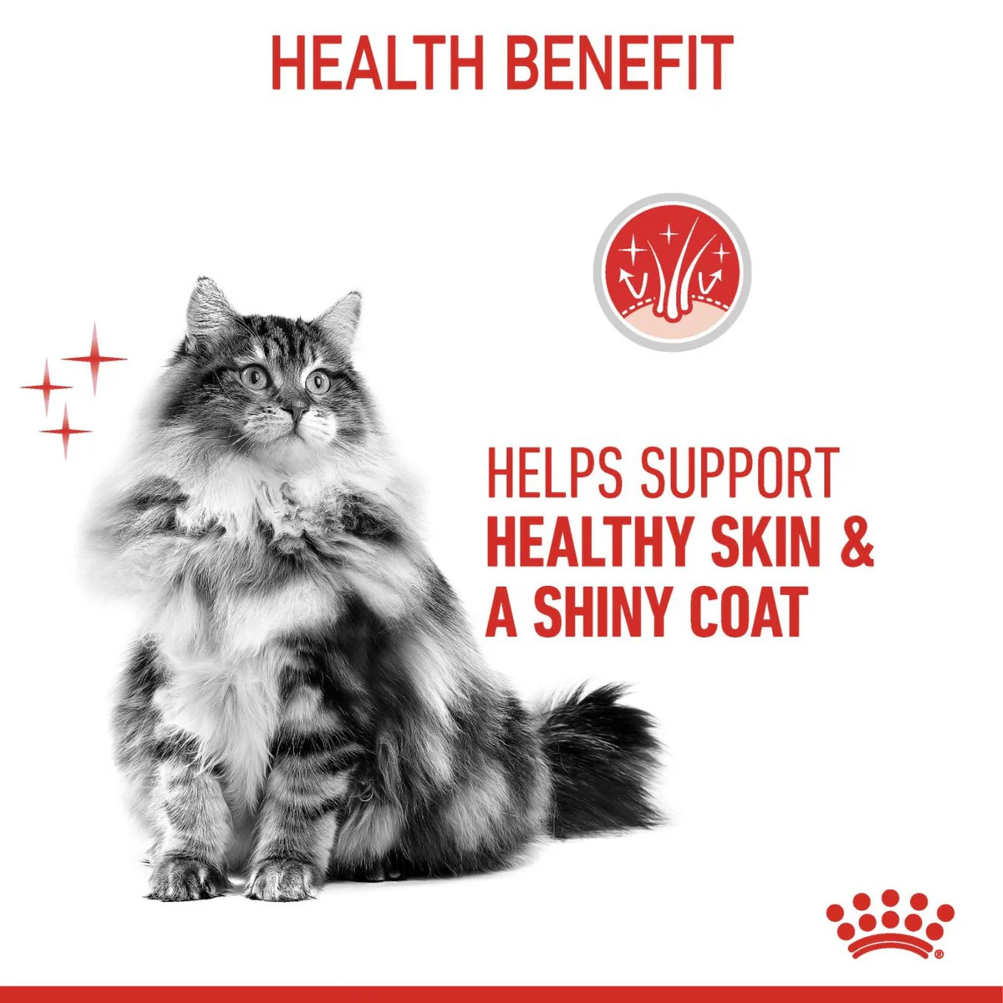 Royal Canin Hair & Skin Adult Dry Cat Food