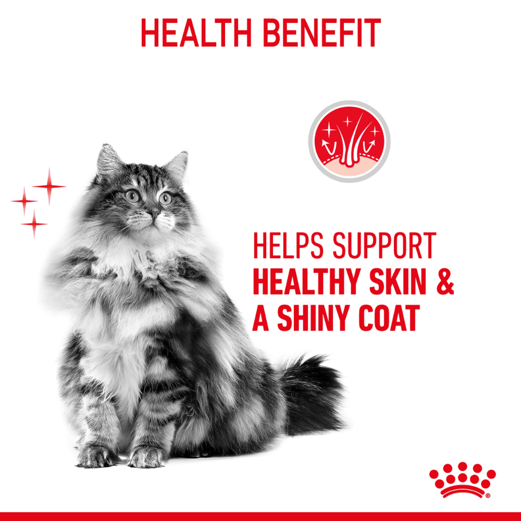 Royal Canin Hair & Skin Jelly Wet 12x85g