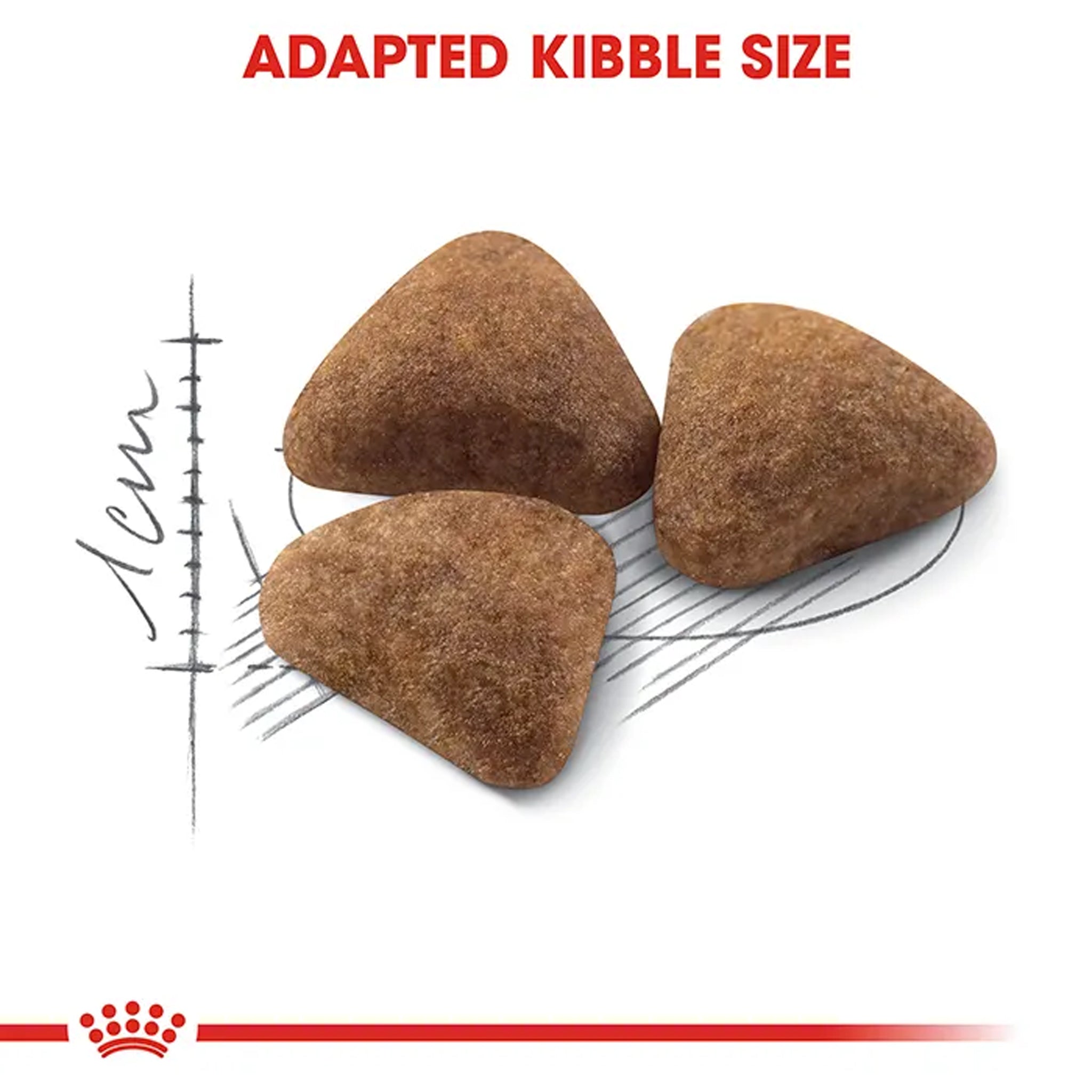 Royal Canin Cat Indoor