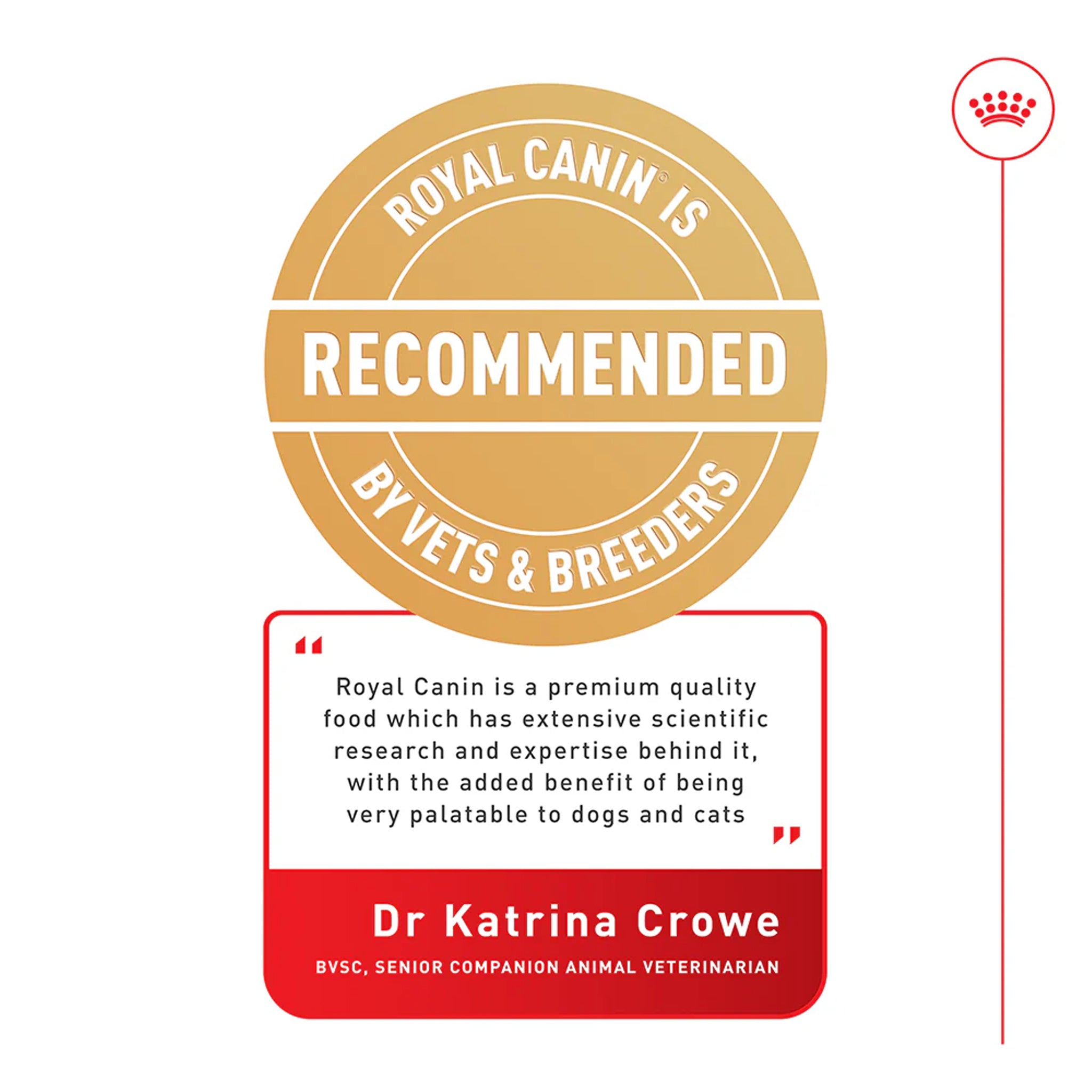 Royal Canin Jack Russell Terrier Adult Dry Dog Food 3kg