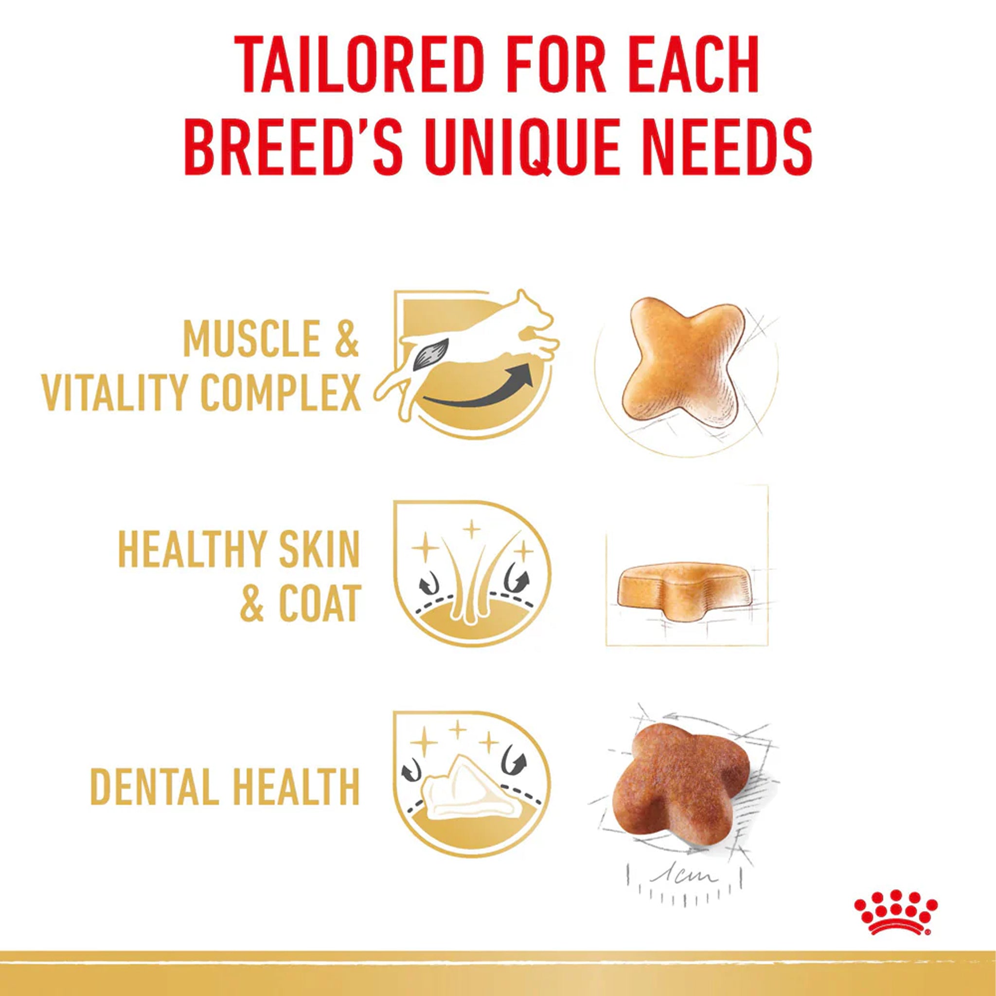 Royal Canin Jack Russell Terrier Adult Dry Dog Food 3kg