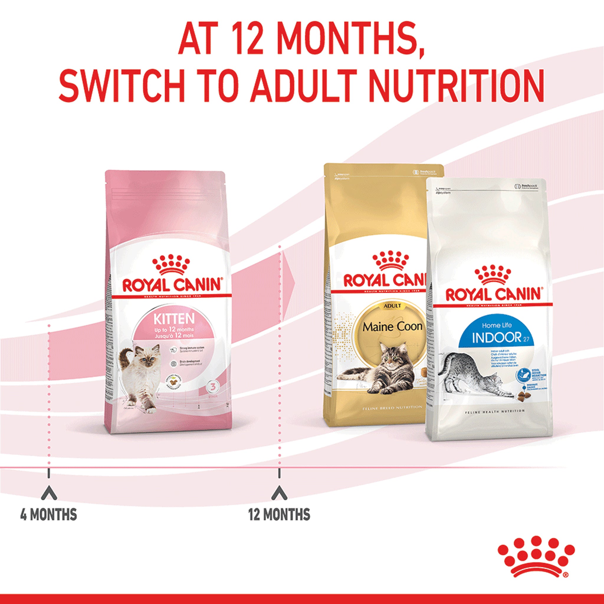 Royal Canin Kitten Dry Cat Food