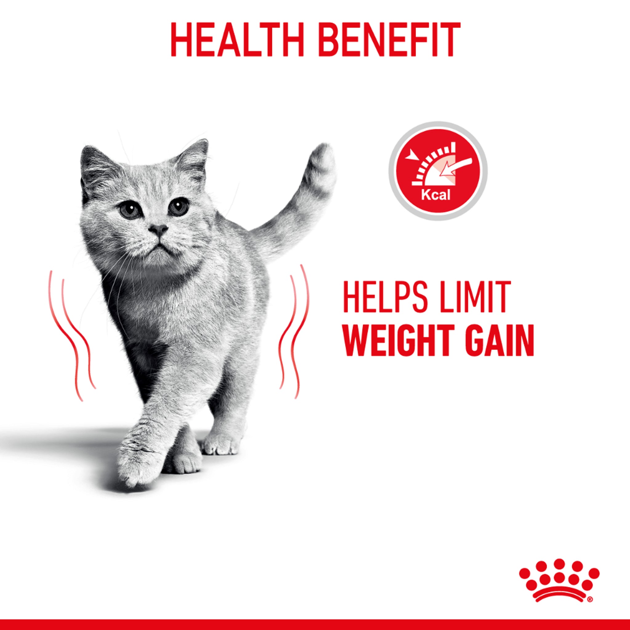 Royal Canin Light Weight Jelly Wet 12x85g