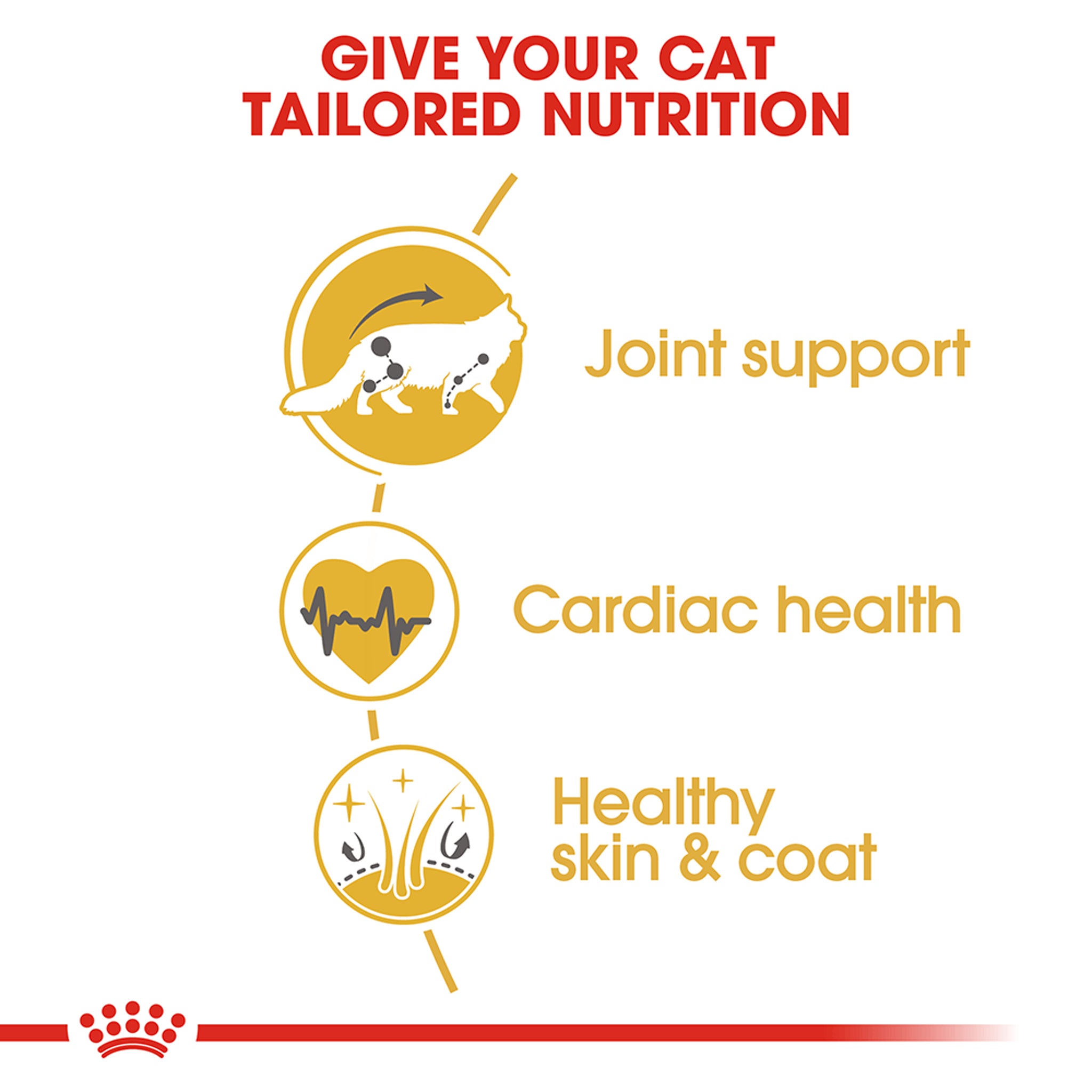 Royal Canin Maine Coon 10kg