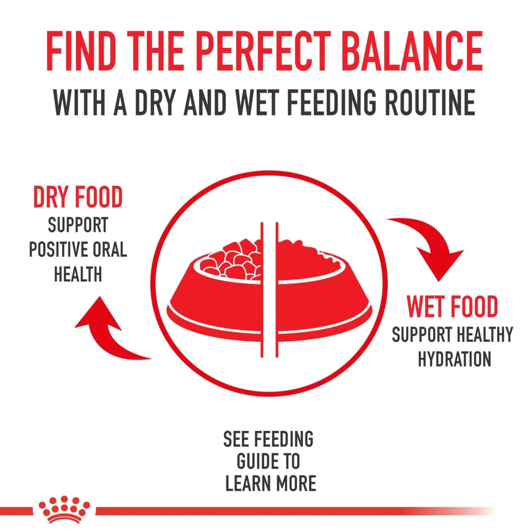 Royal Canin Dog Maxi Digestive Care