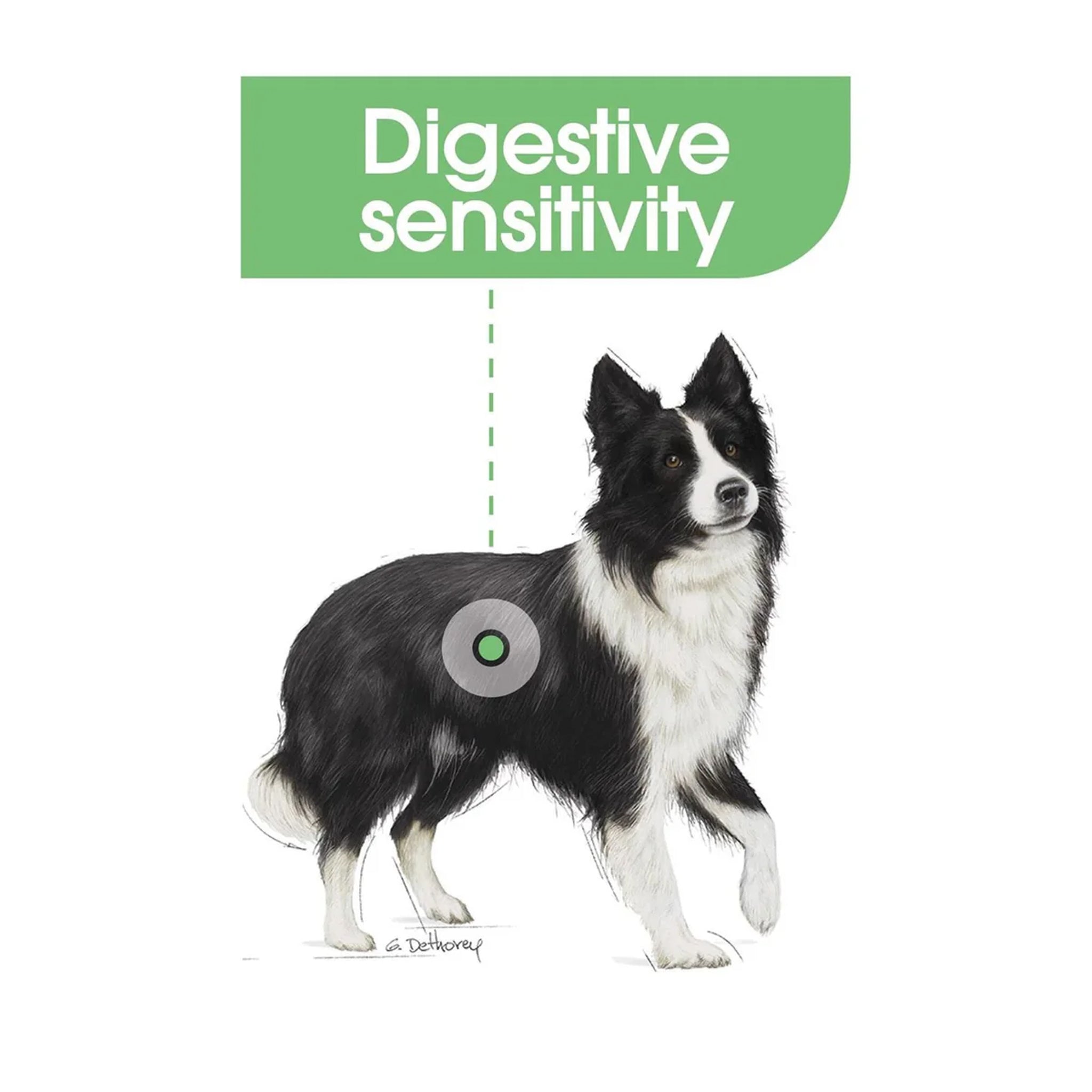 Royal Canin Dog Medium Digestive Care