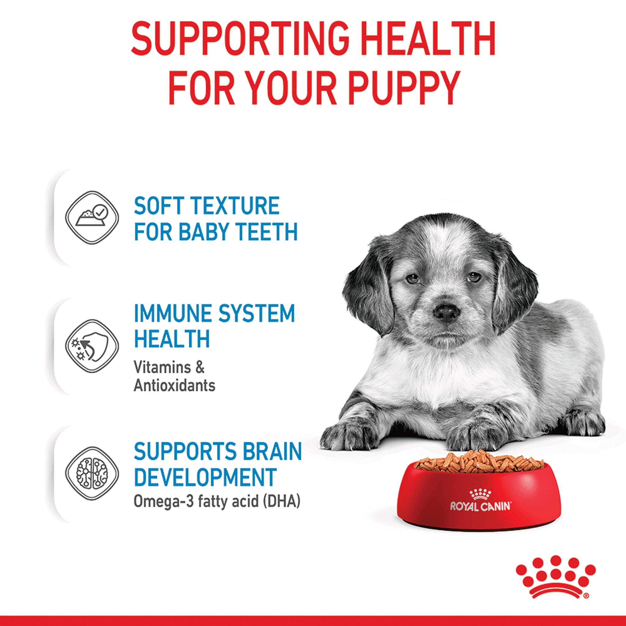 Royal Canin Medium Puppy Wet Dog Food Pouches 140gx10