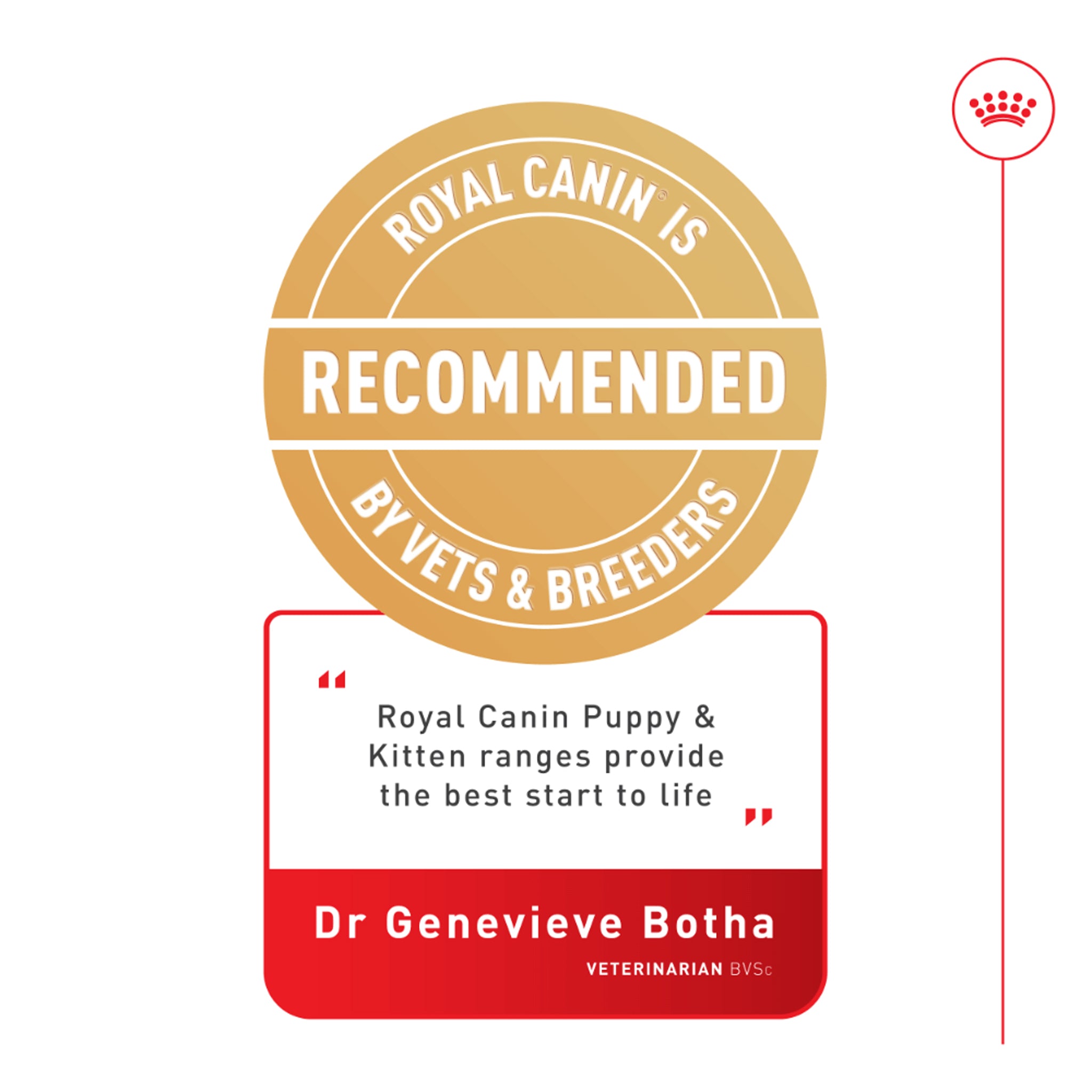 Royal Canin Medium Puppy Wet Dog Food Pouches 140gx10