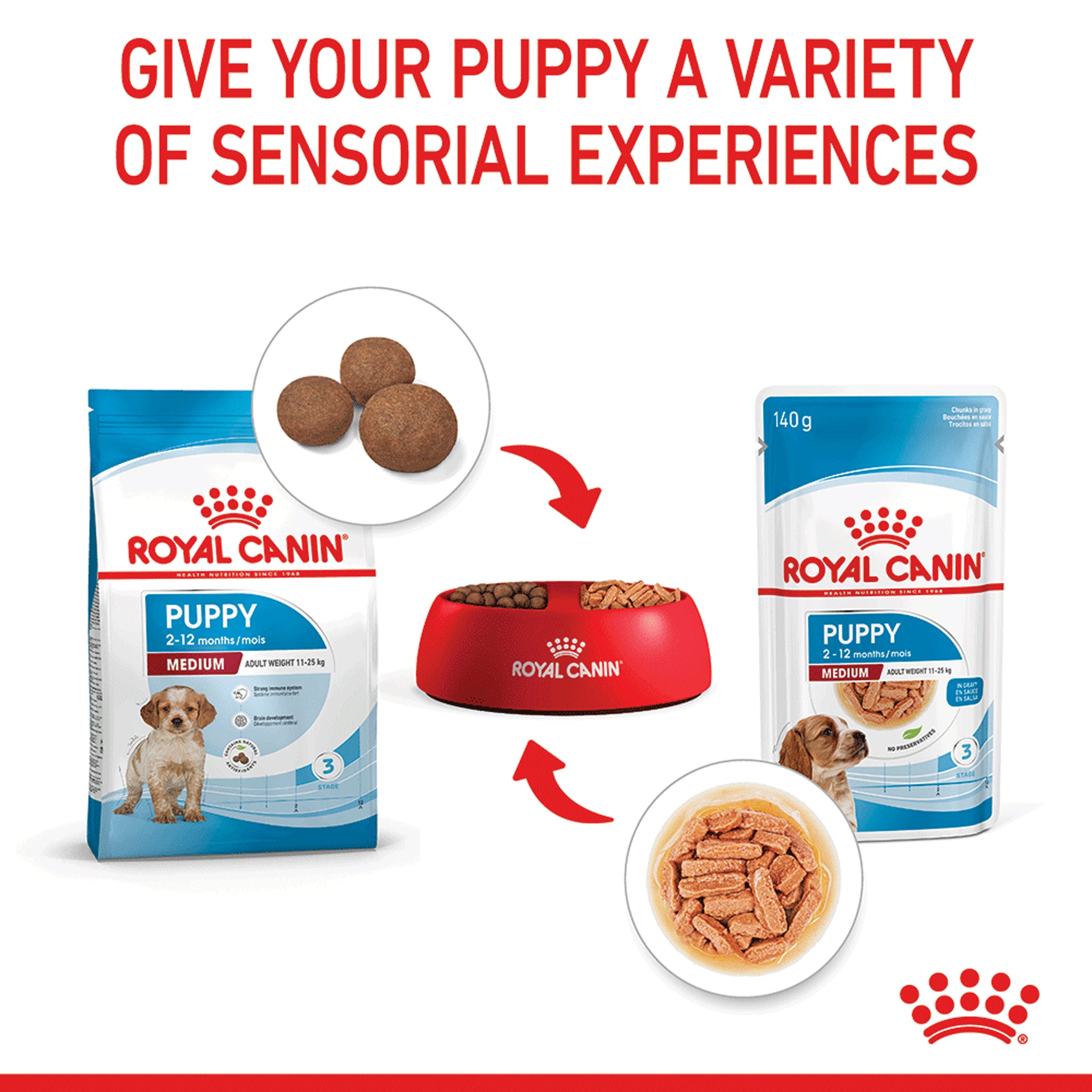 Royal Canin Medium Puppy Wet Dog Food Pouches 140gx10