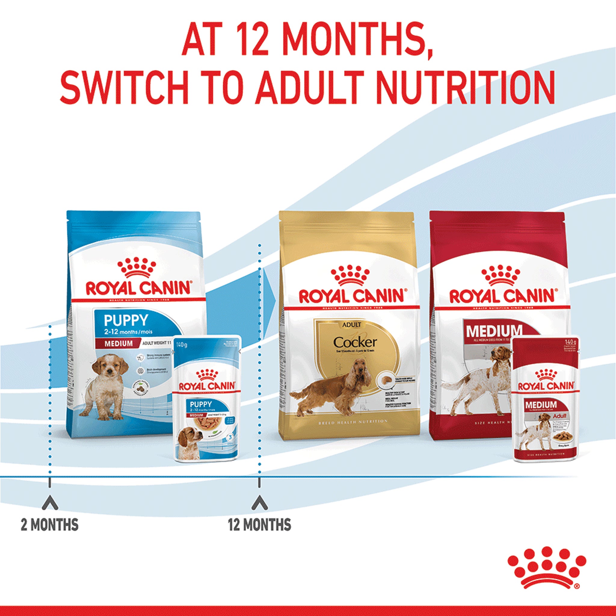 Royal Canin Medium Puppy Wet Dog Food Pouches 140gx10